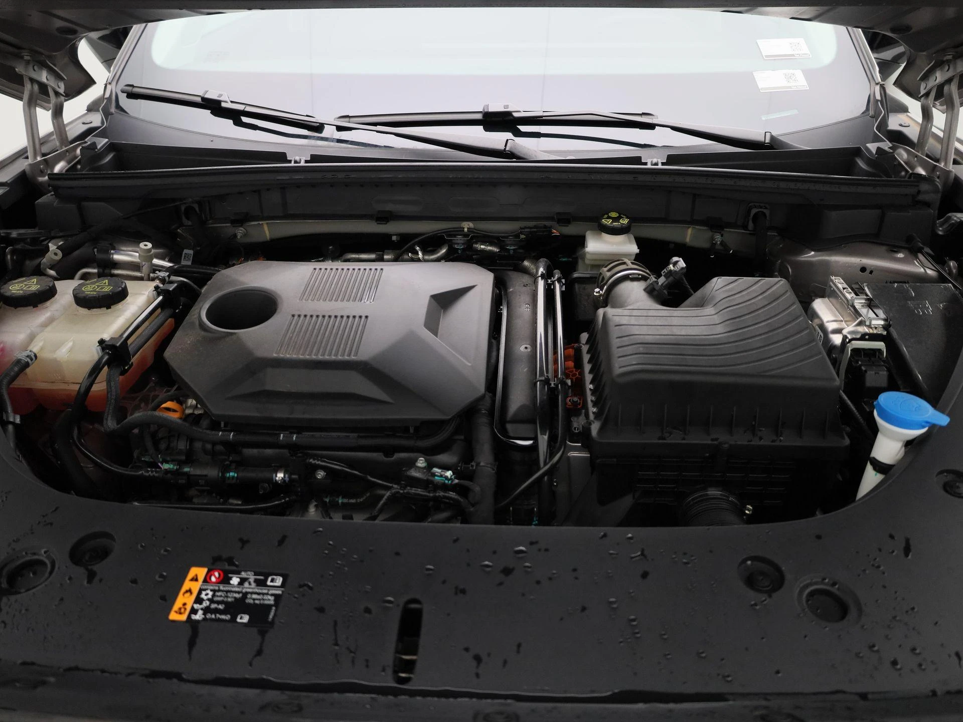 MG-HS-image-34
