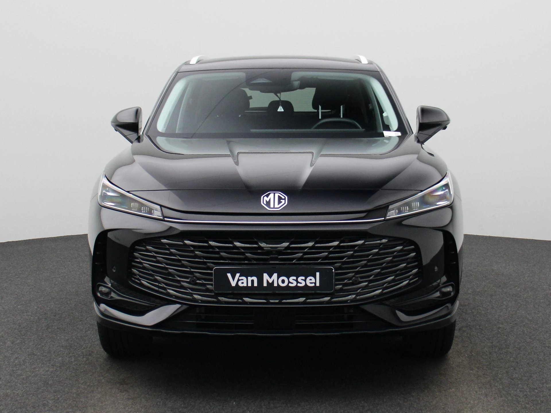 MG-HS-image-2