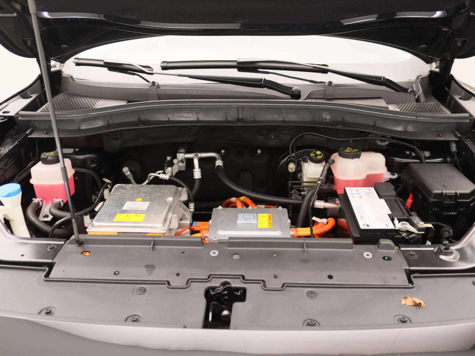 MG-ZS EV-image-31