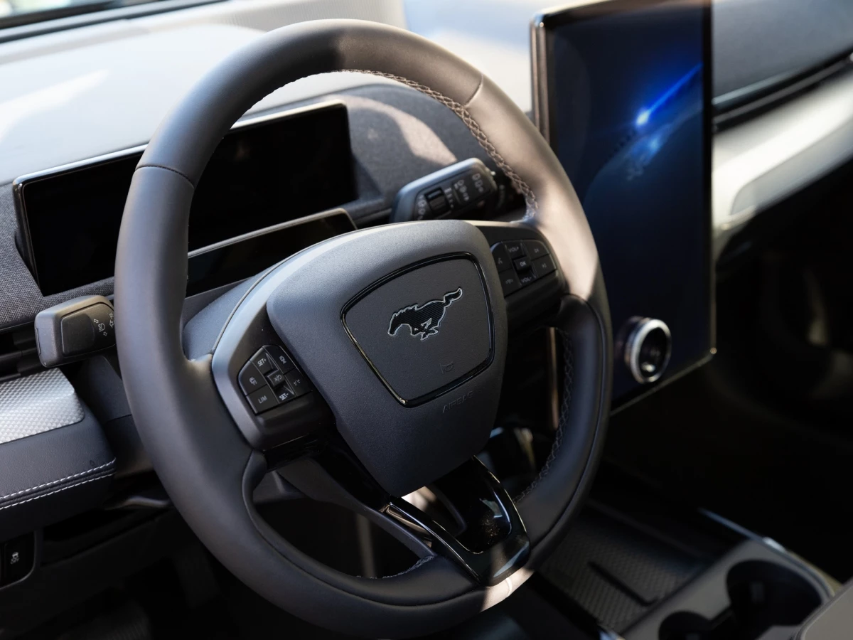 Ford-Mustang Mach-E-image-13