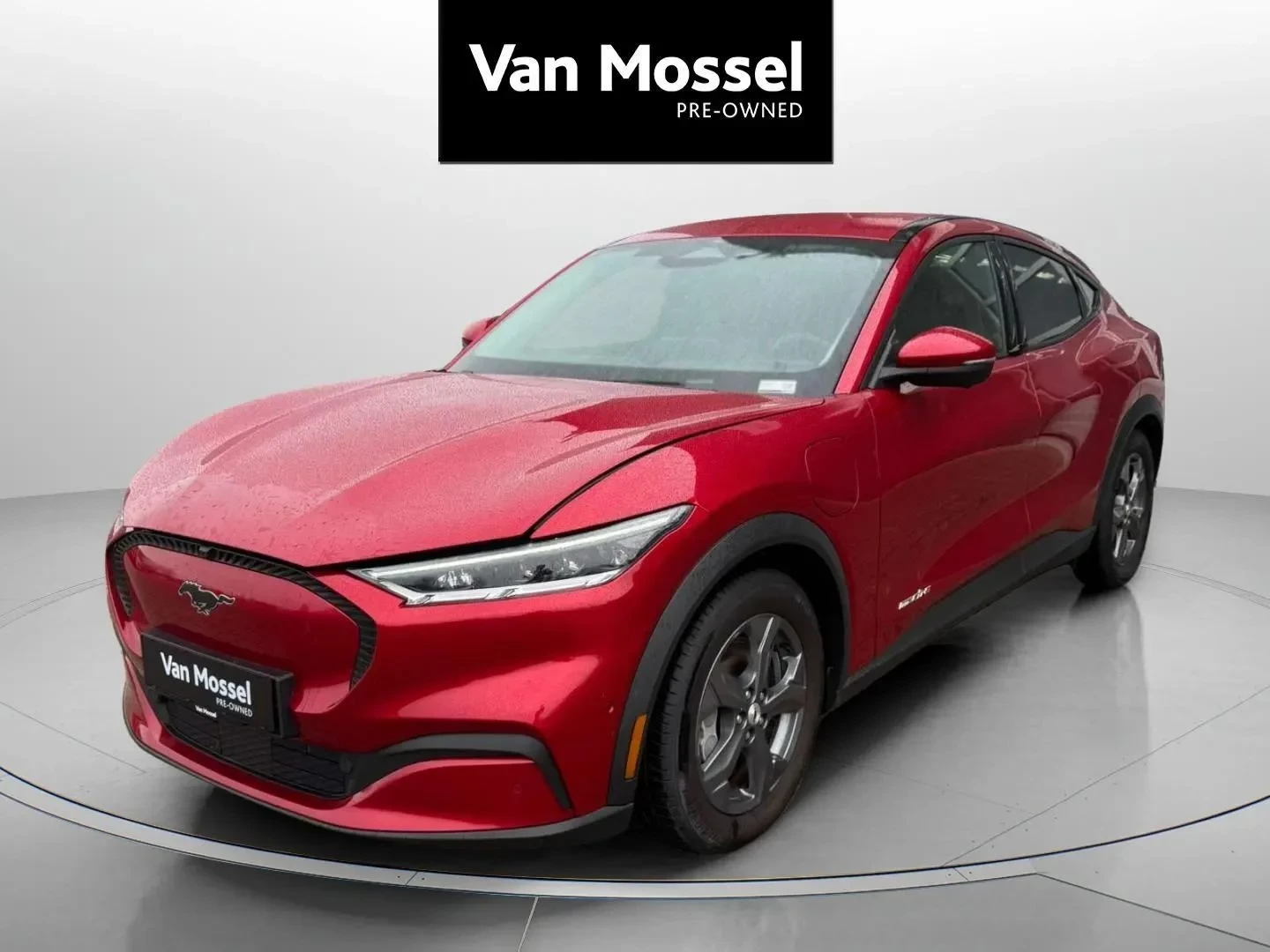 Ford-Mustang Mach-E-image-0