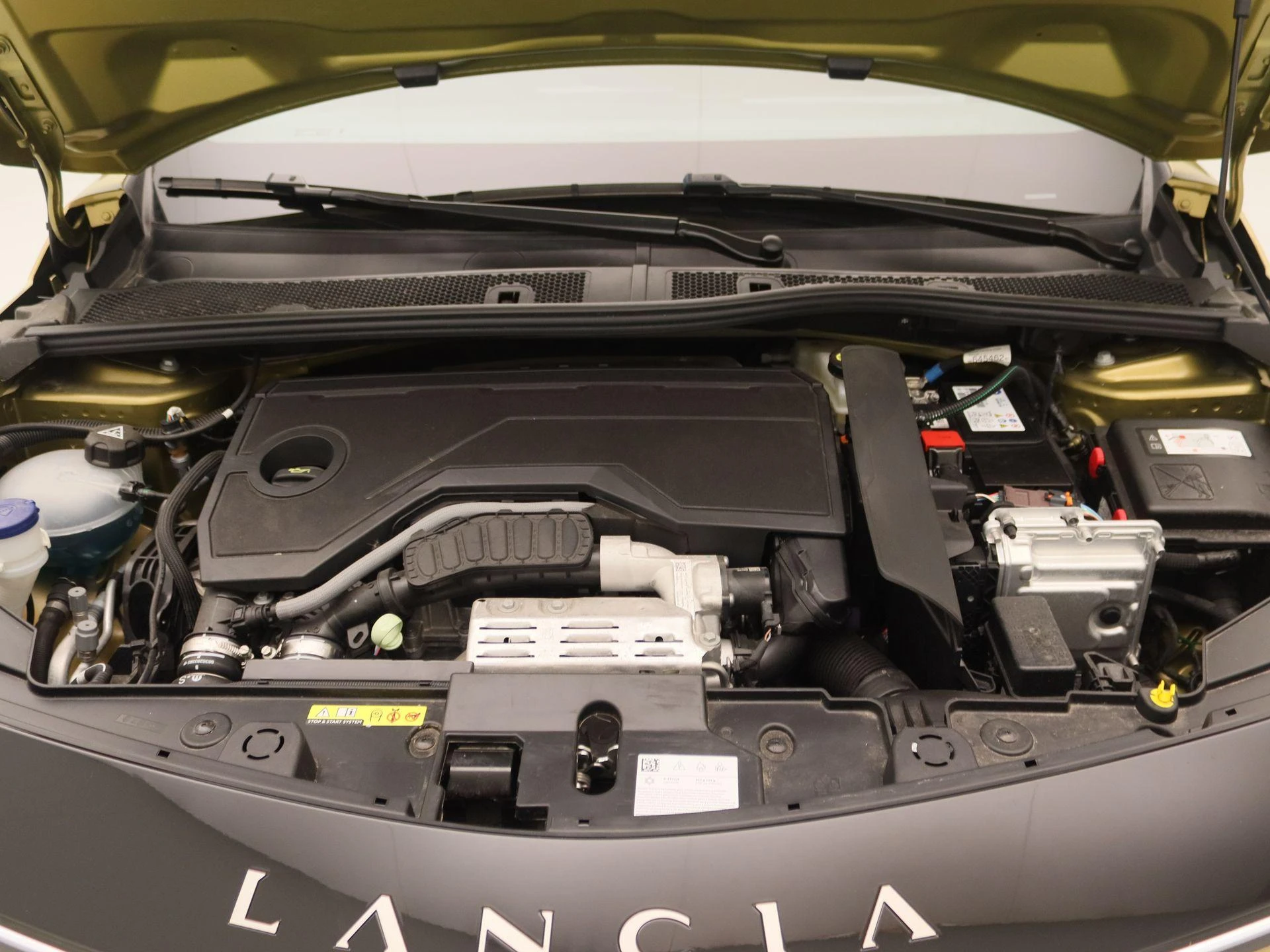 Lancia-Ypsilon-image-24