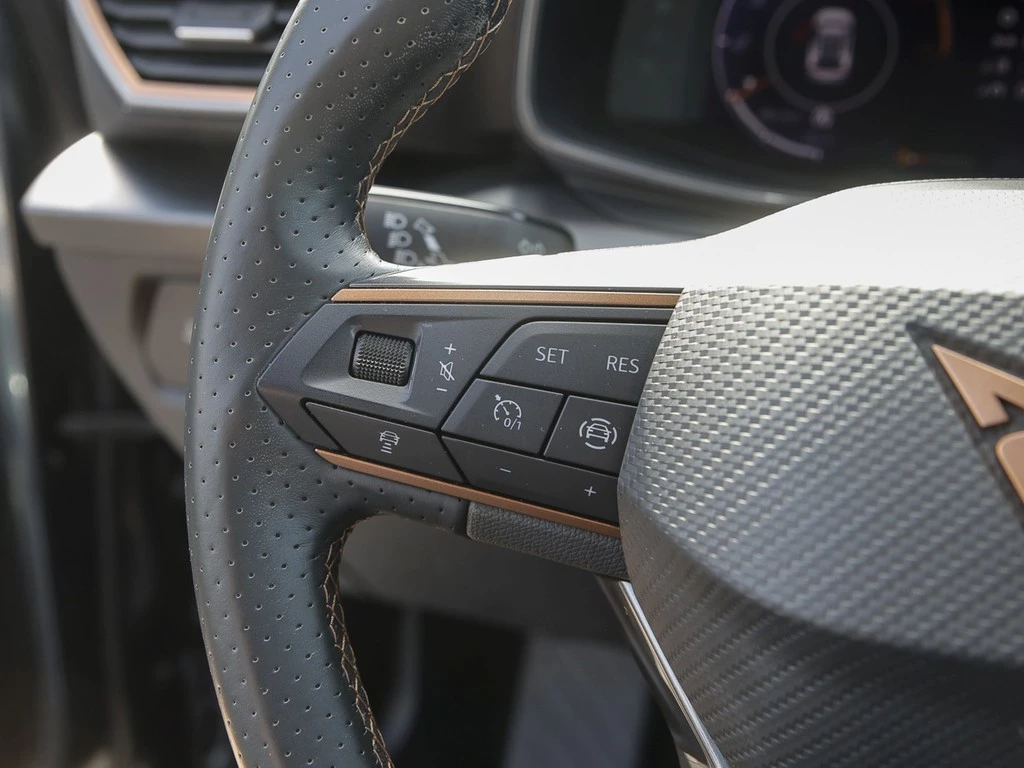 CUPRA Formentor 1.5 TSI RFK/LED/SHZ/Telefon