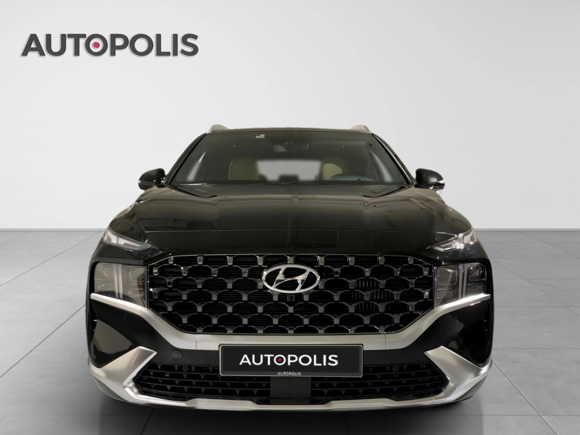 Hyundai-Santa Fe-image-2