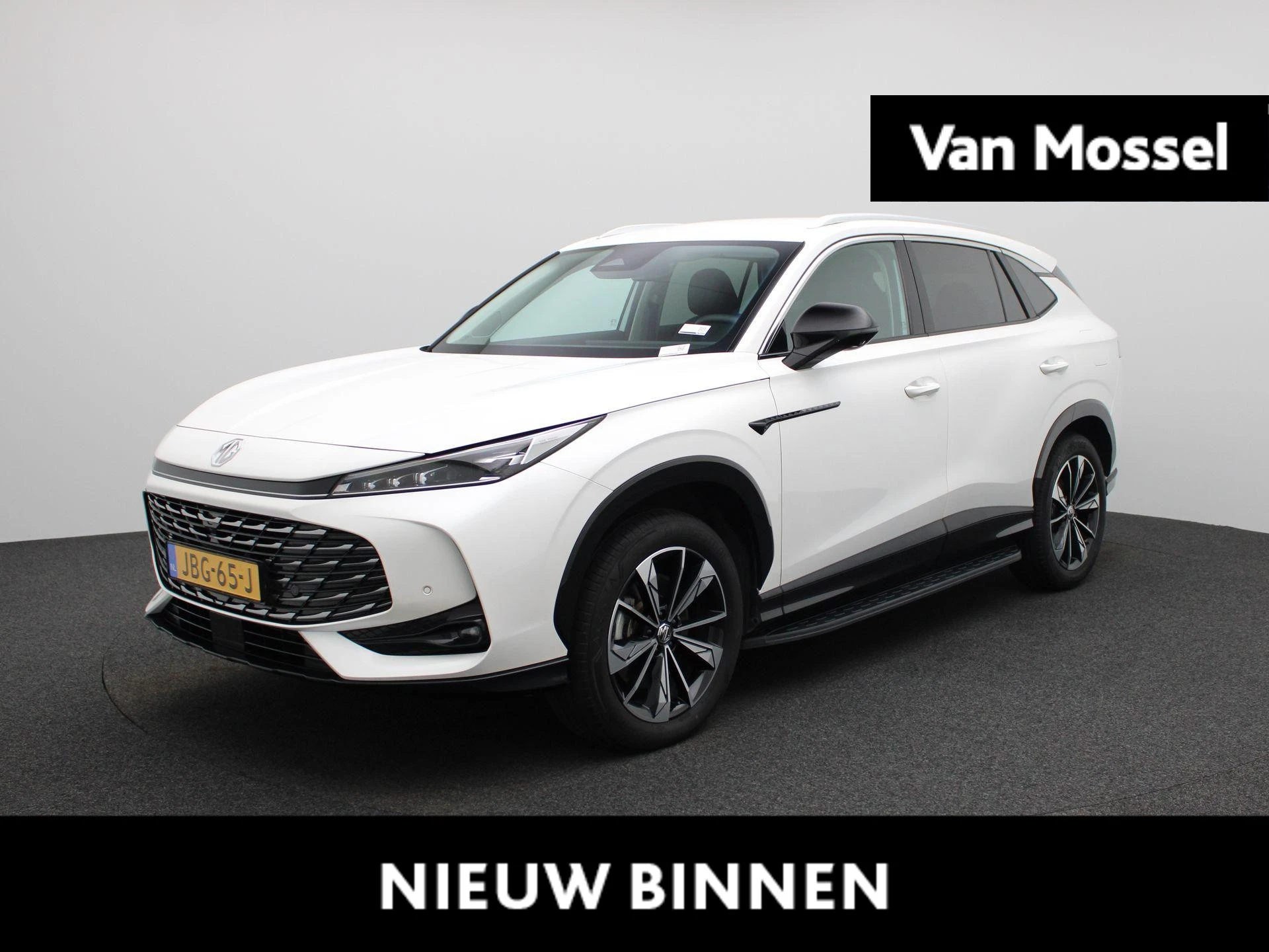 MG-HS-image-0