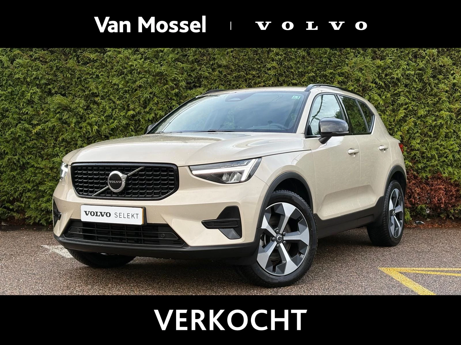 Volvo-XC40-image-0