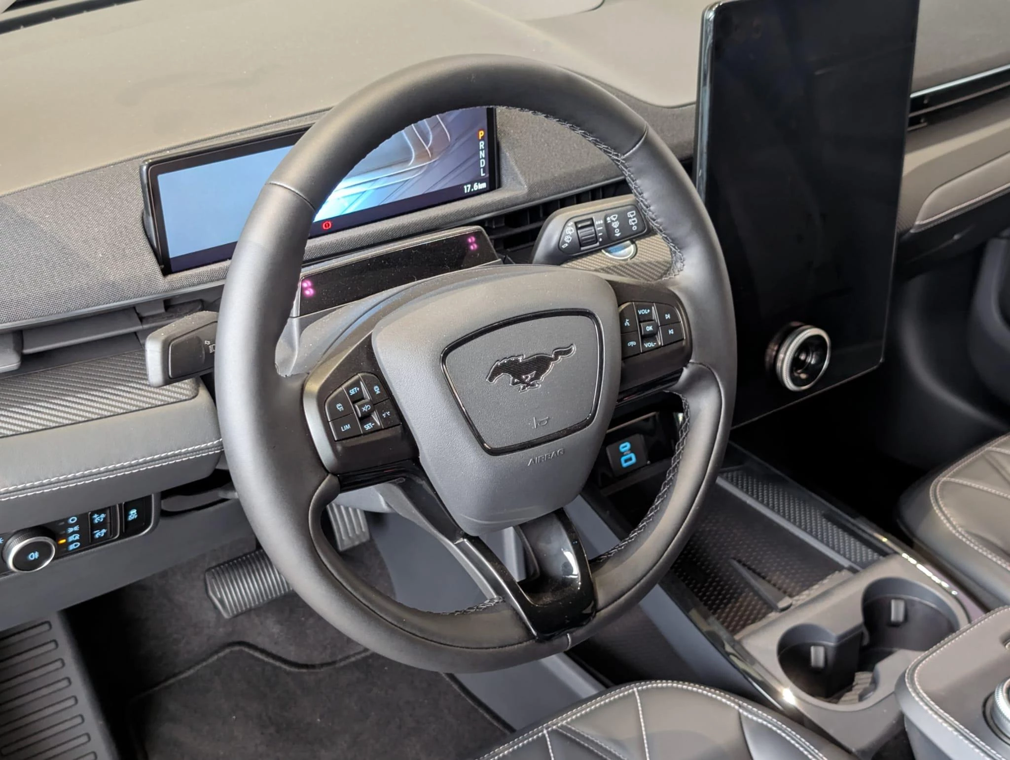 Ford-Mustang Mach-E-image-30