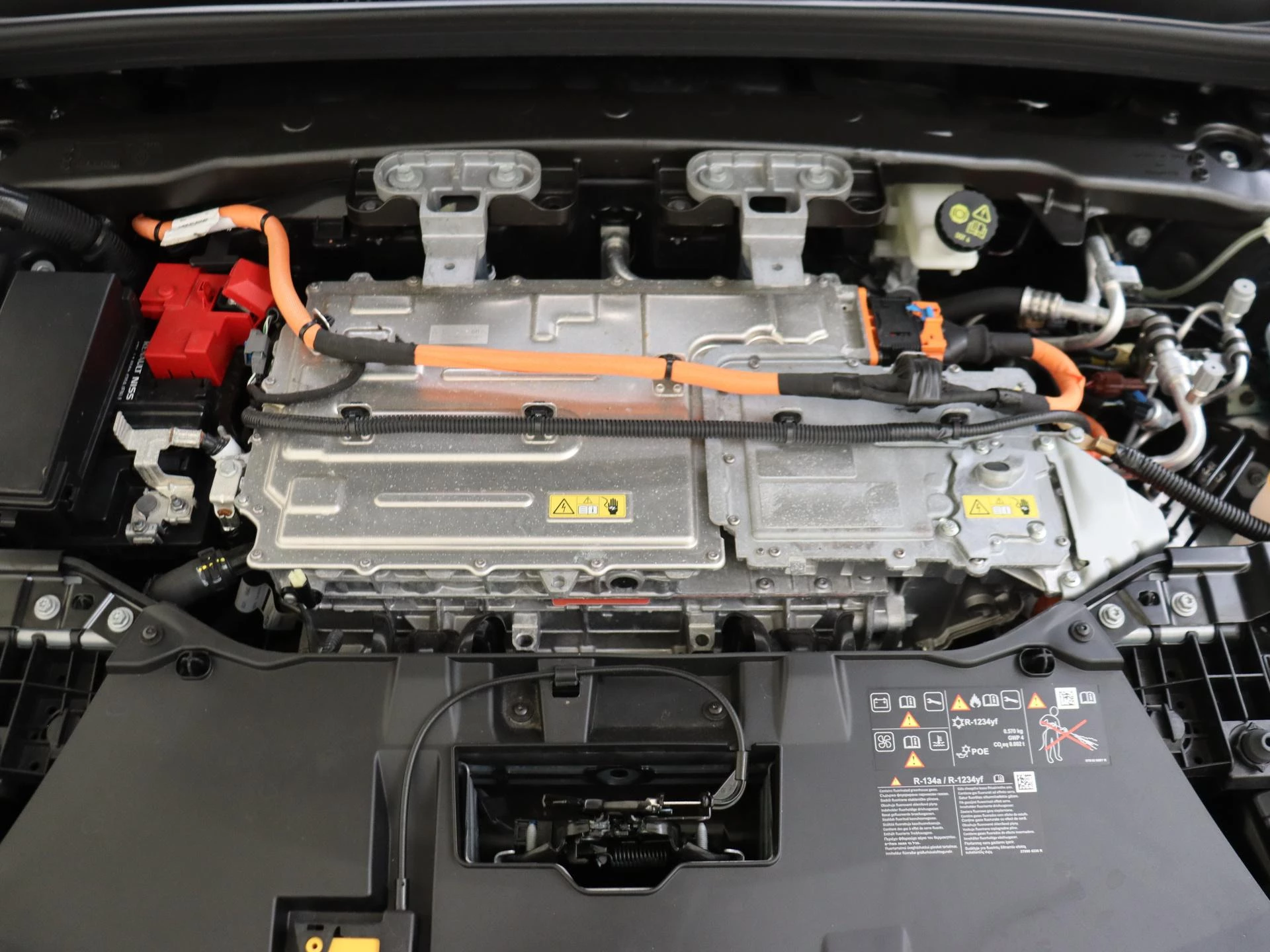 Renault-Megane E-Tech-image-2