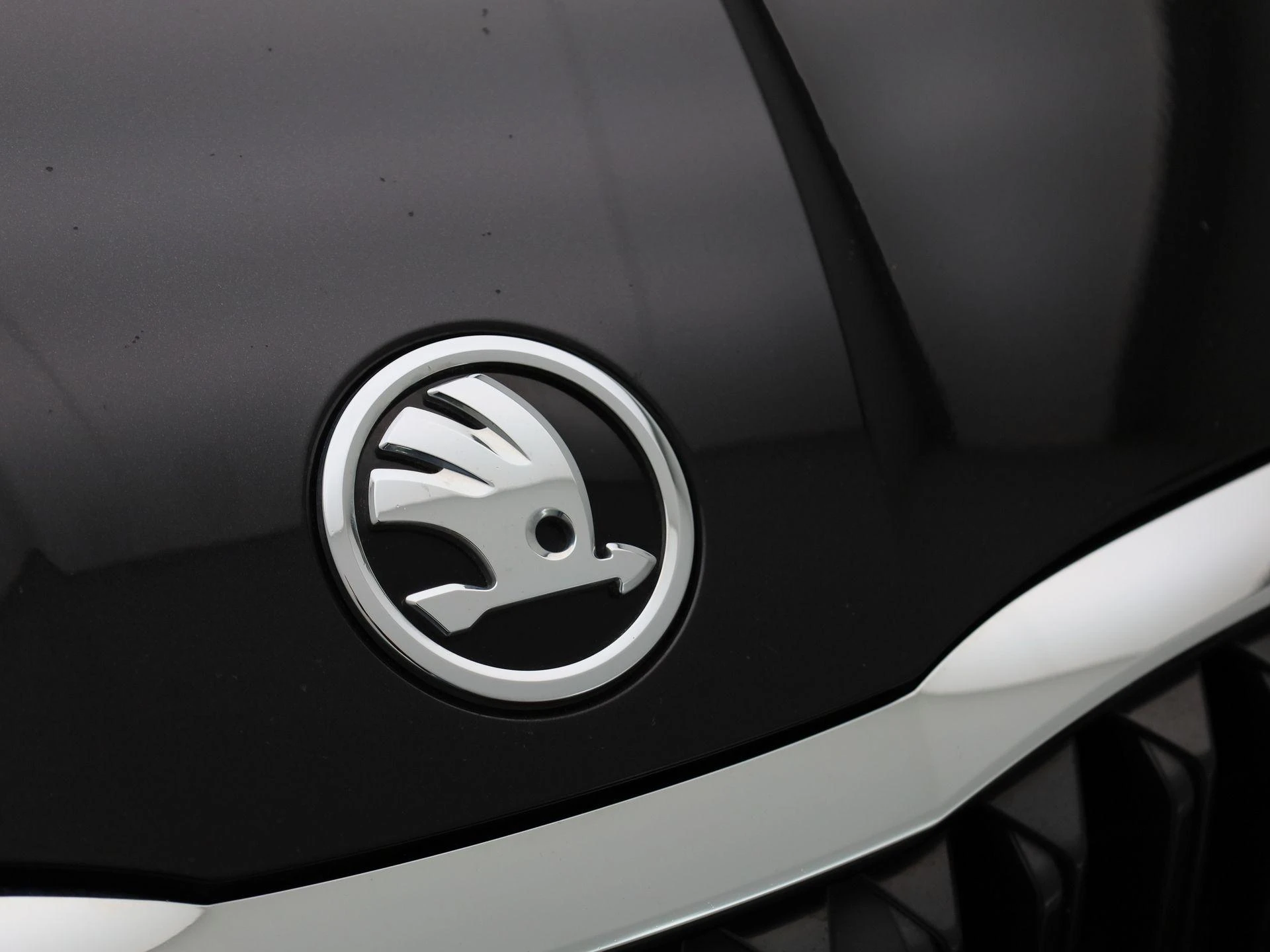 Škoda-Octavia-image-37