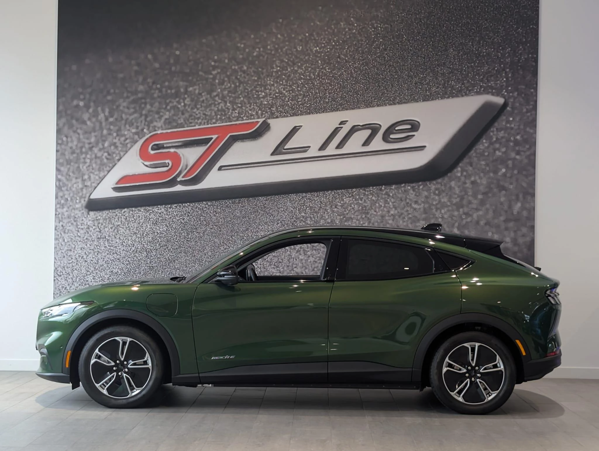 Ford-Mustang Mach-E-image-1