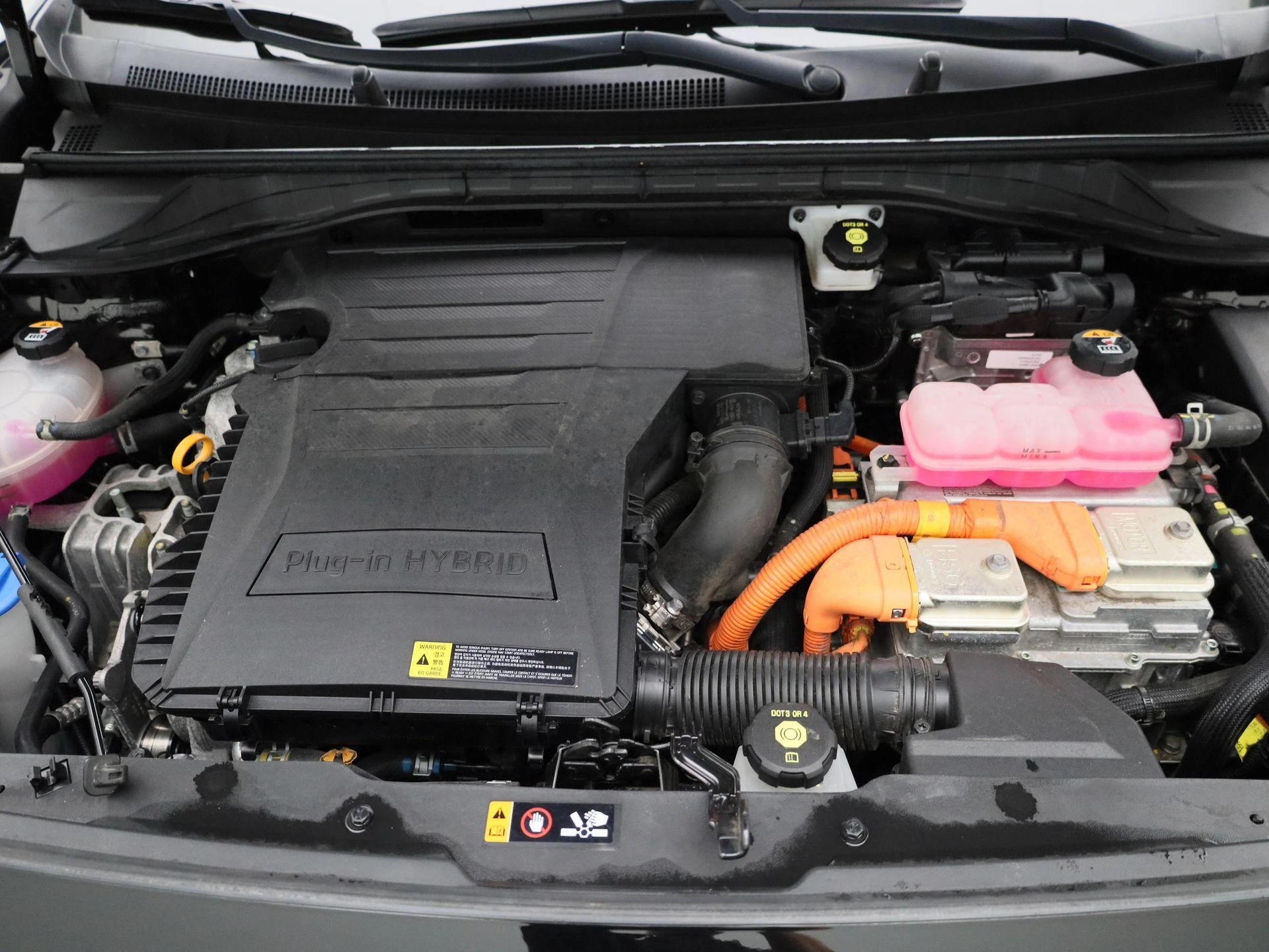 Kia Niro 1.6 GDi PHEV ExecutiveLine
