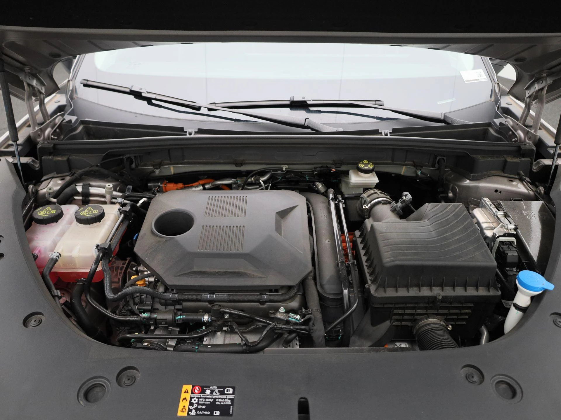 MG-HS-image-37
