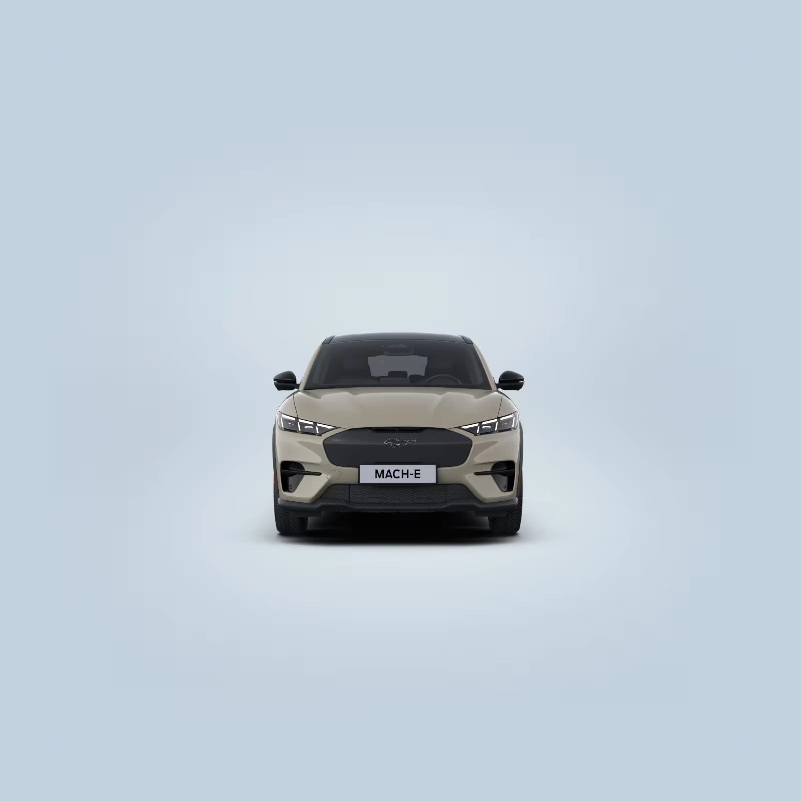 Ford-Mustang Mach-E-image-8