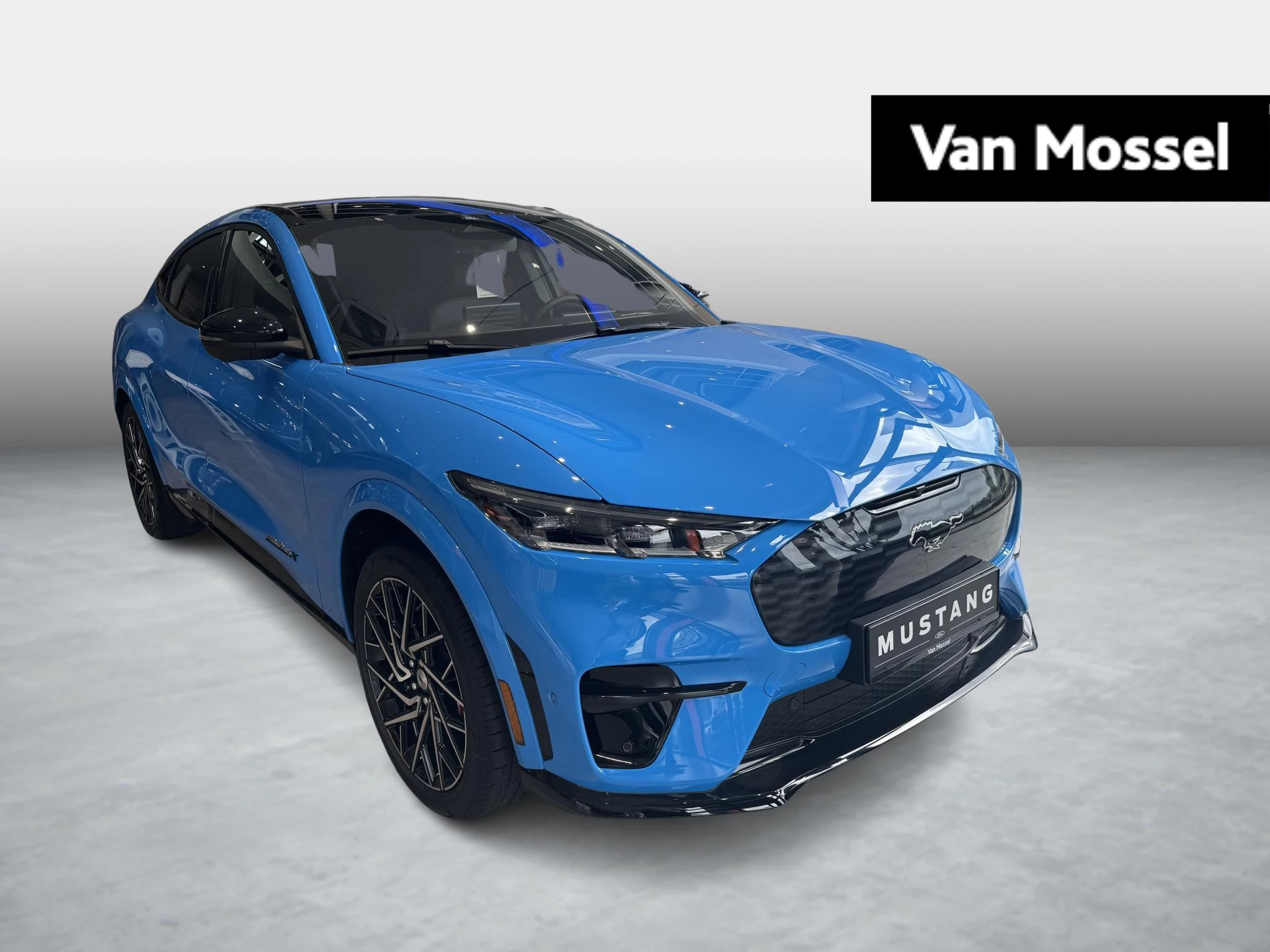 Ford-Mustang Mach-E-image-0