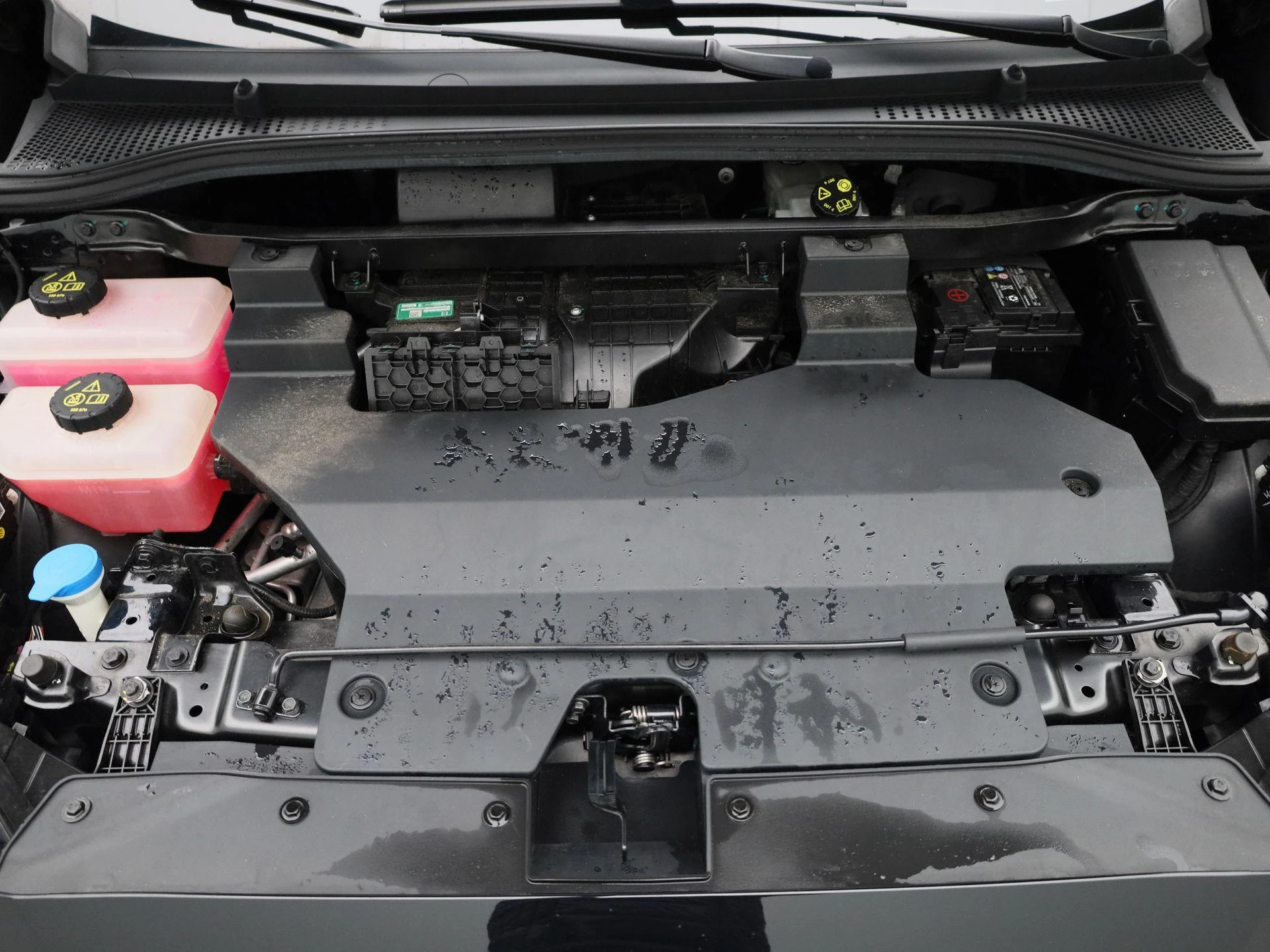 MG-MG4 EV-image-34