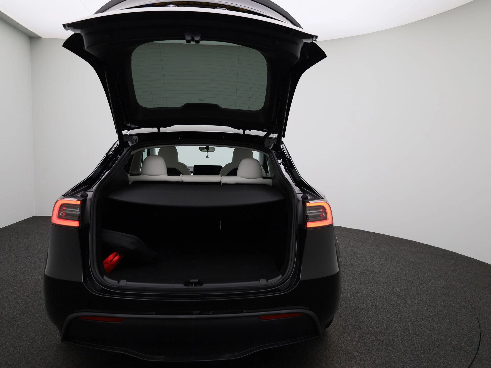 Tesla-Model Y-image-10