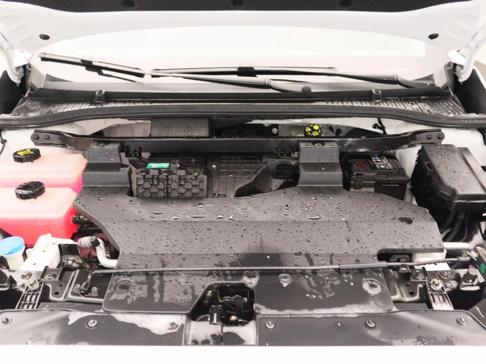 MG-MG4 EV-image-27
