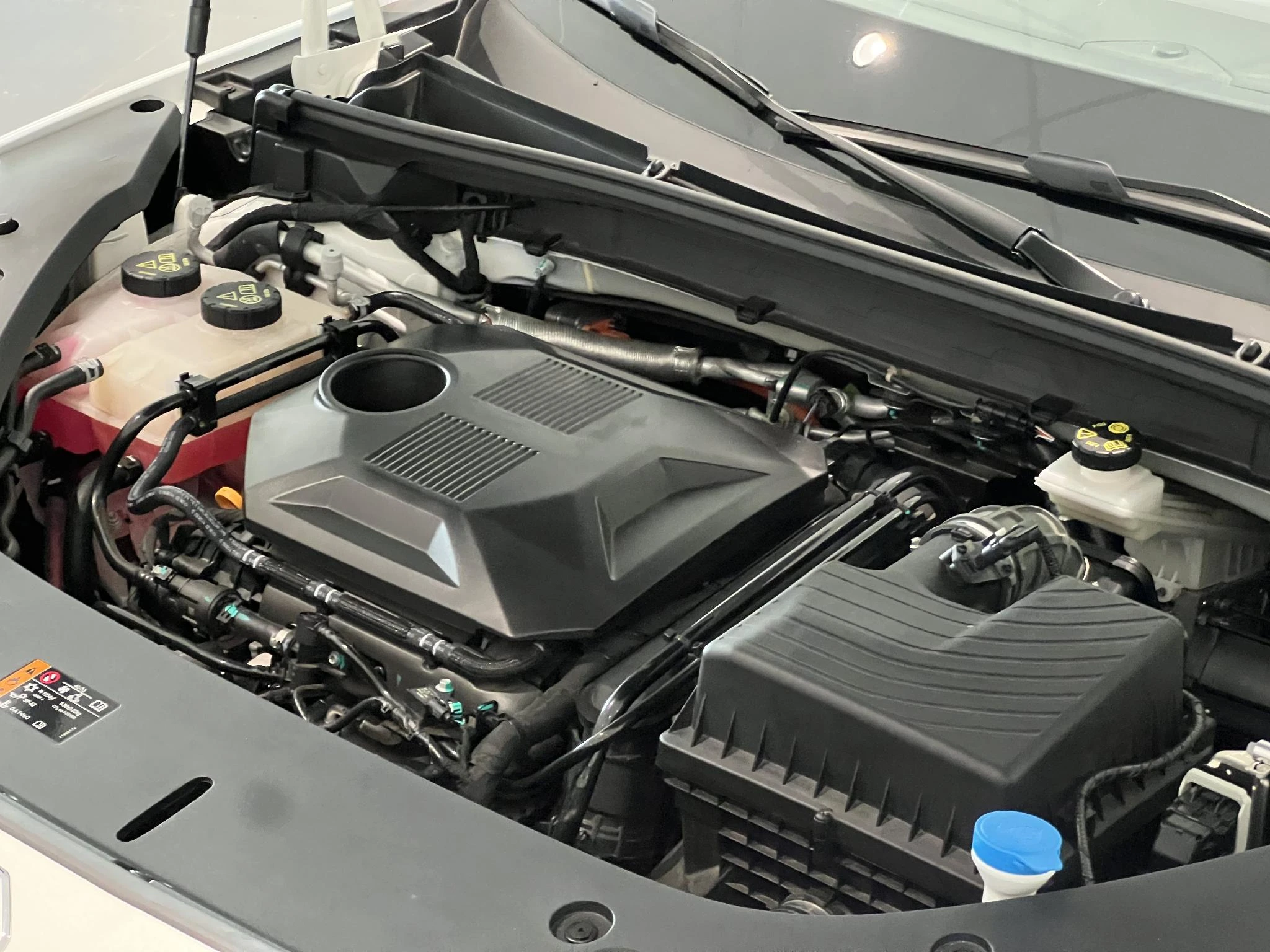 MG-HS-image-35