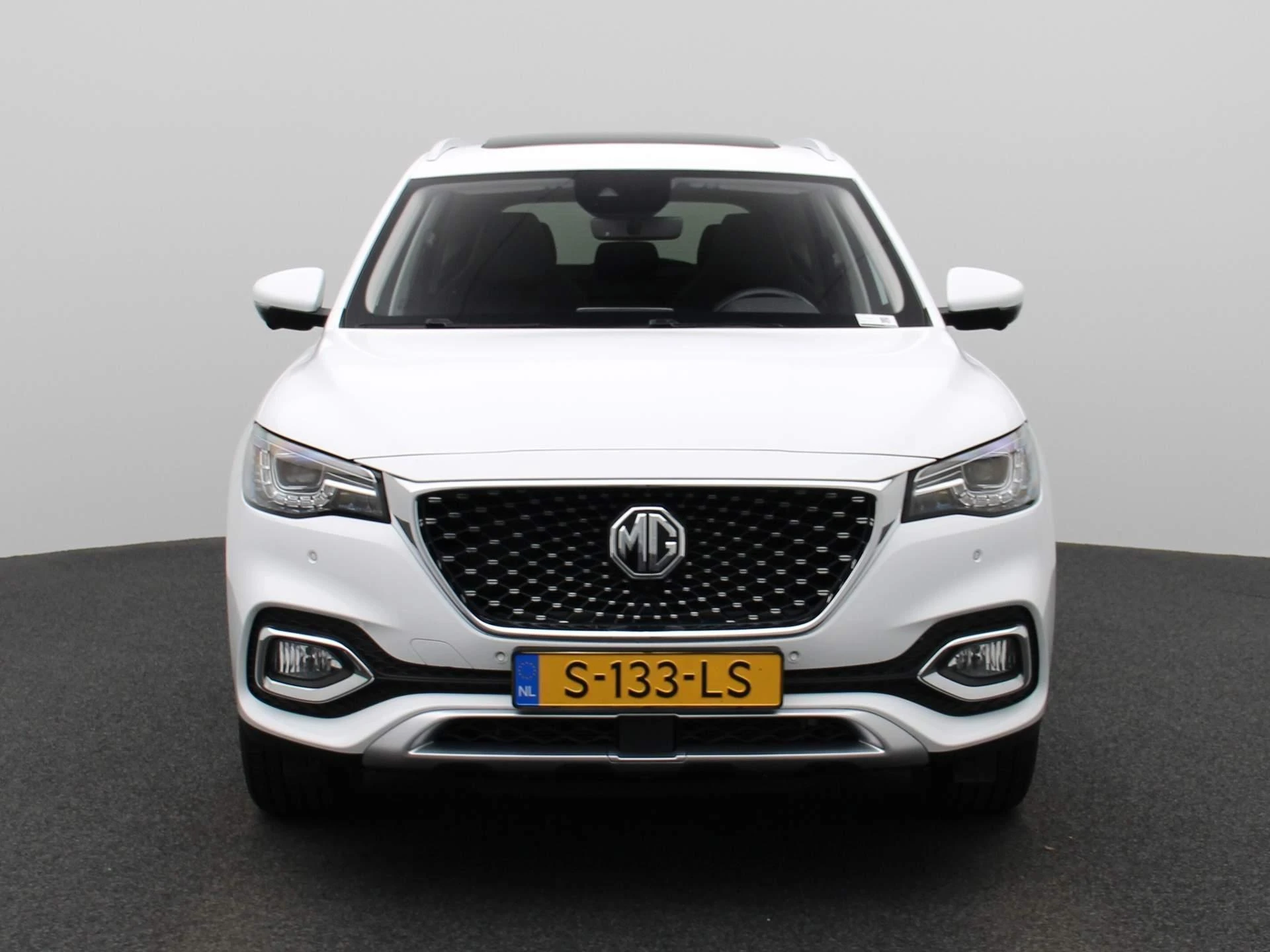 MG-EHS-image-3