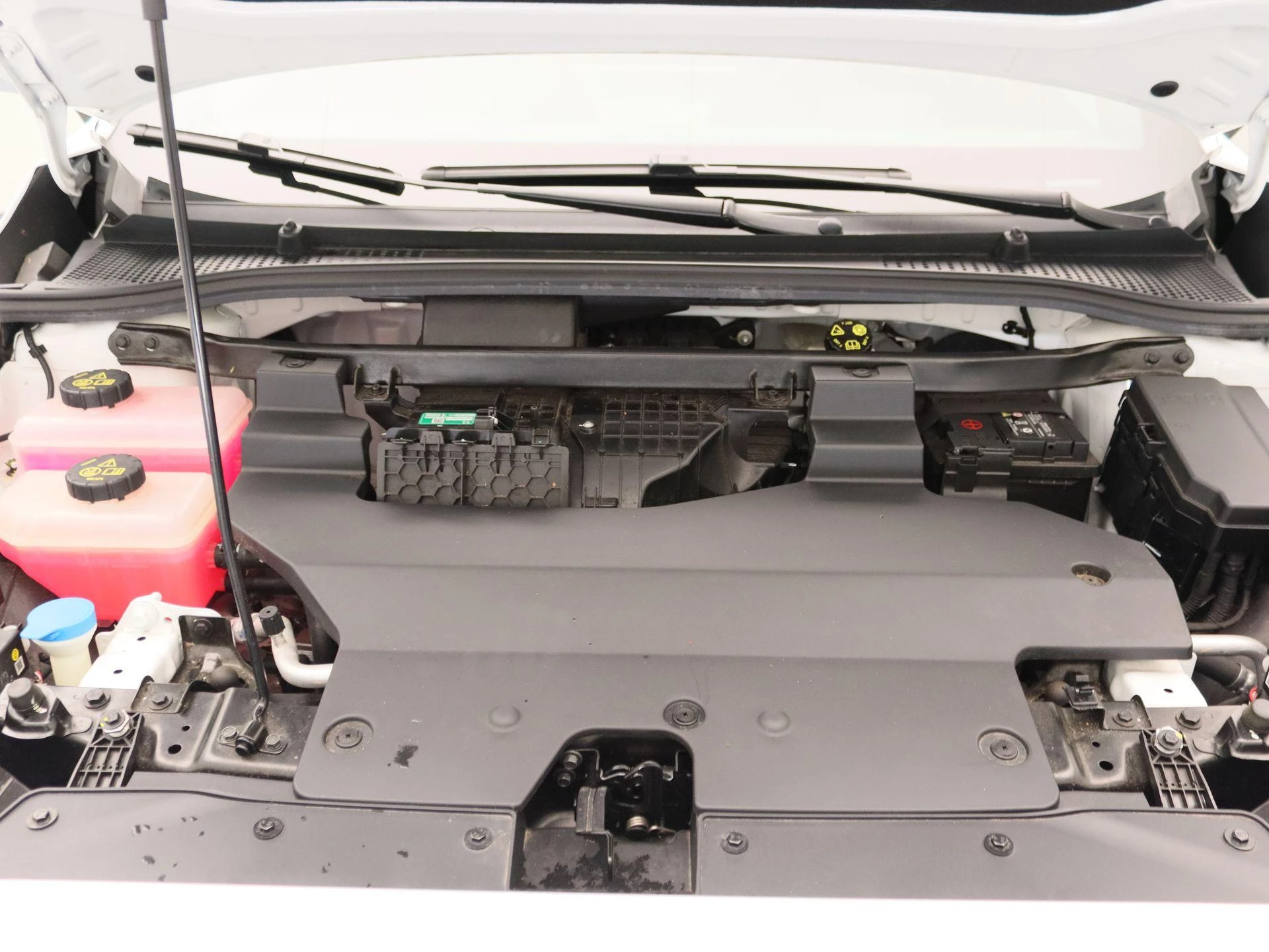 MG-MG4-image-24