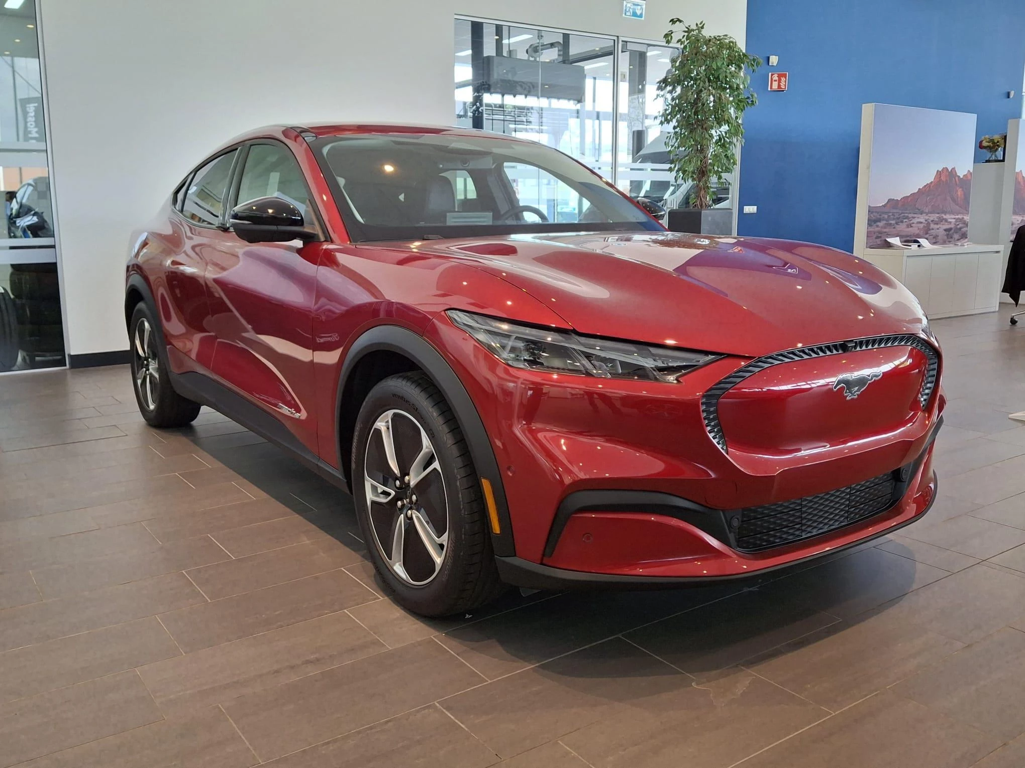 Ford-Mustang Mach-E-image-3