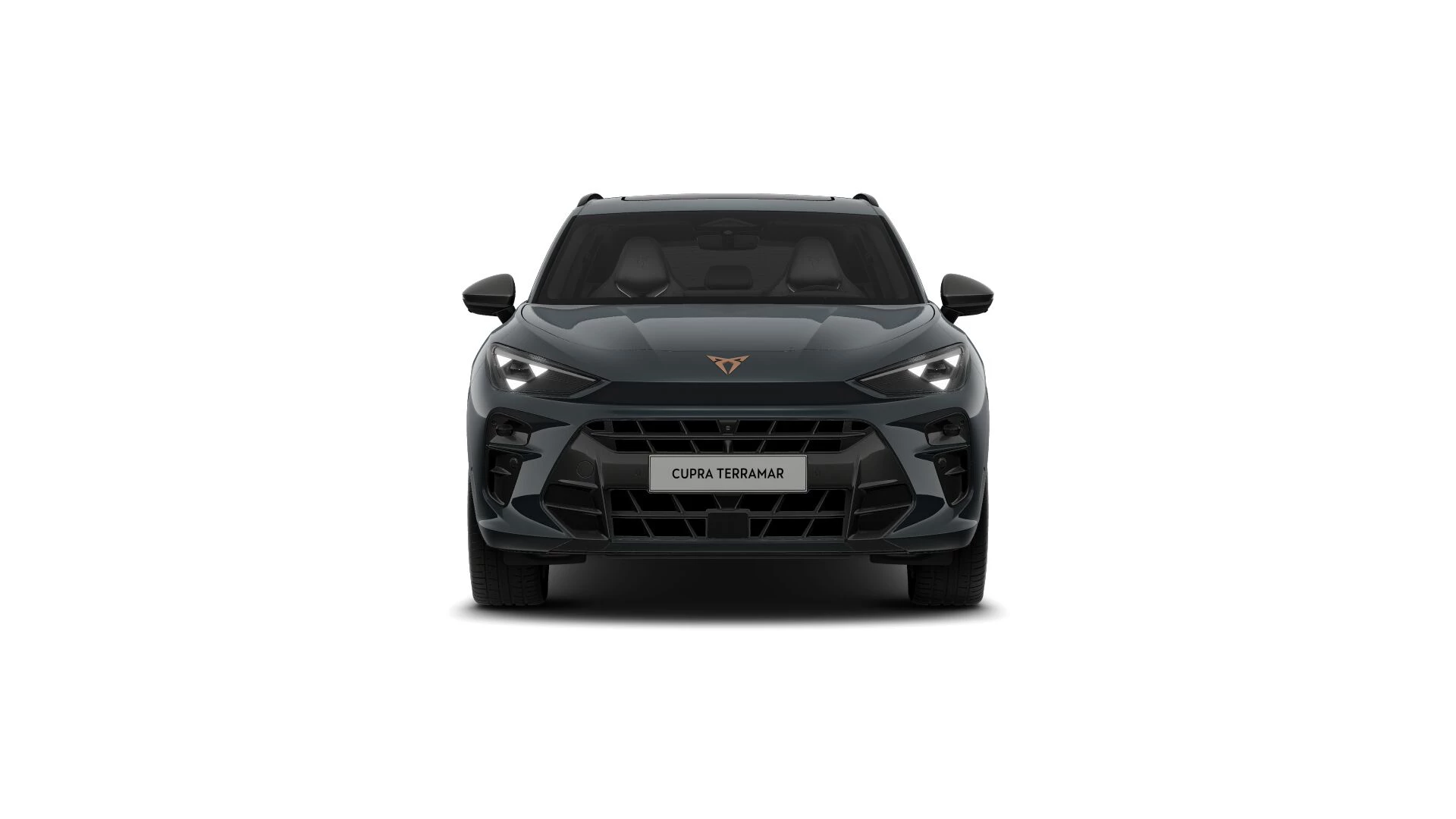 CUPRA Terramar Business