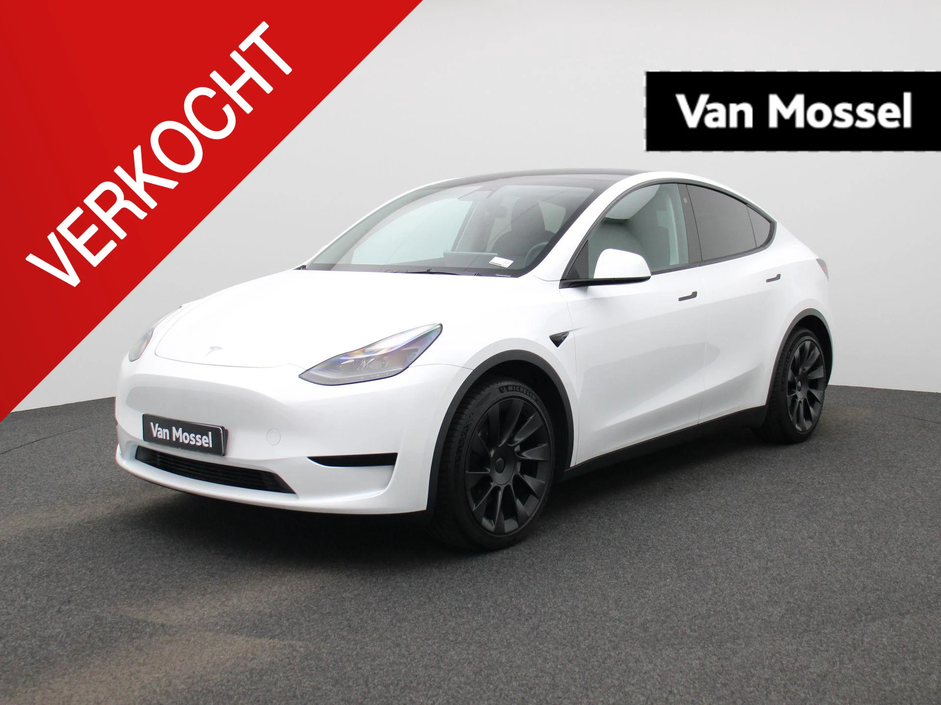 Tesla-Model Y-image-0