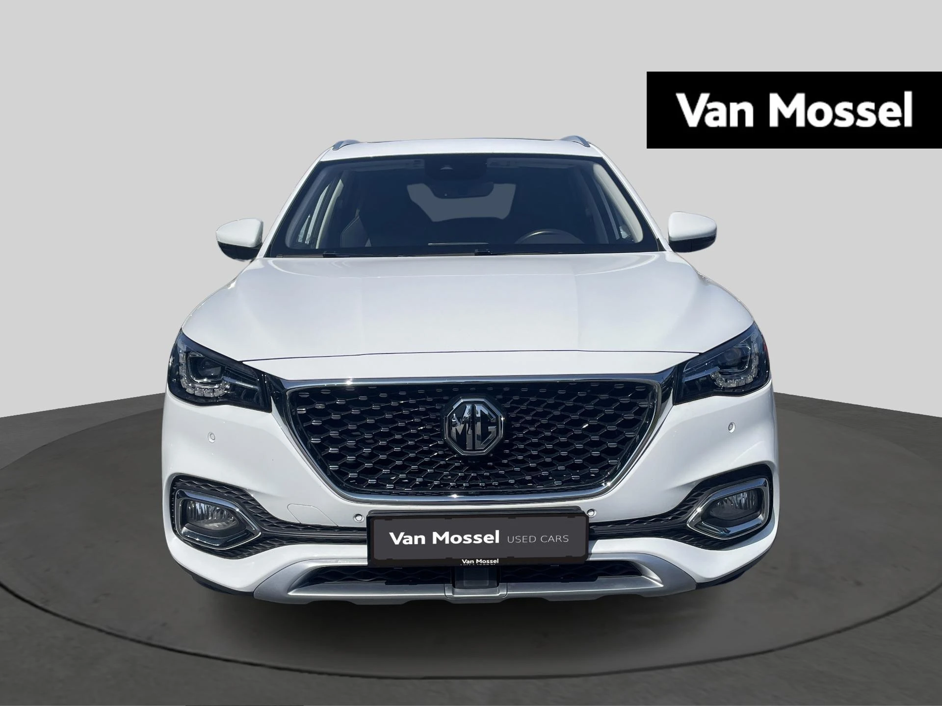 MG-EHS-image-1