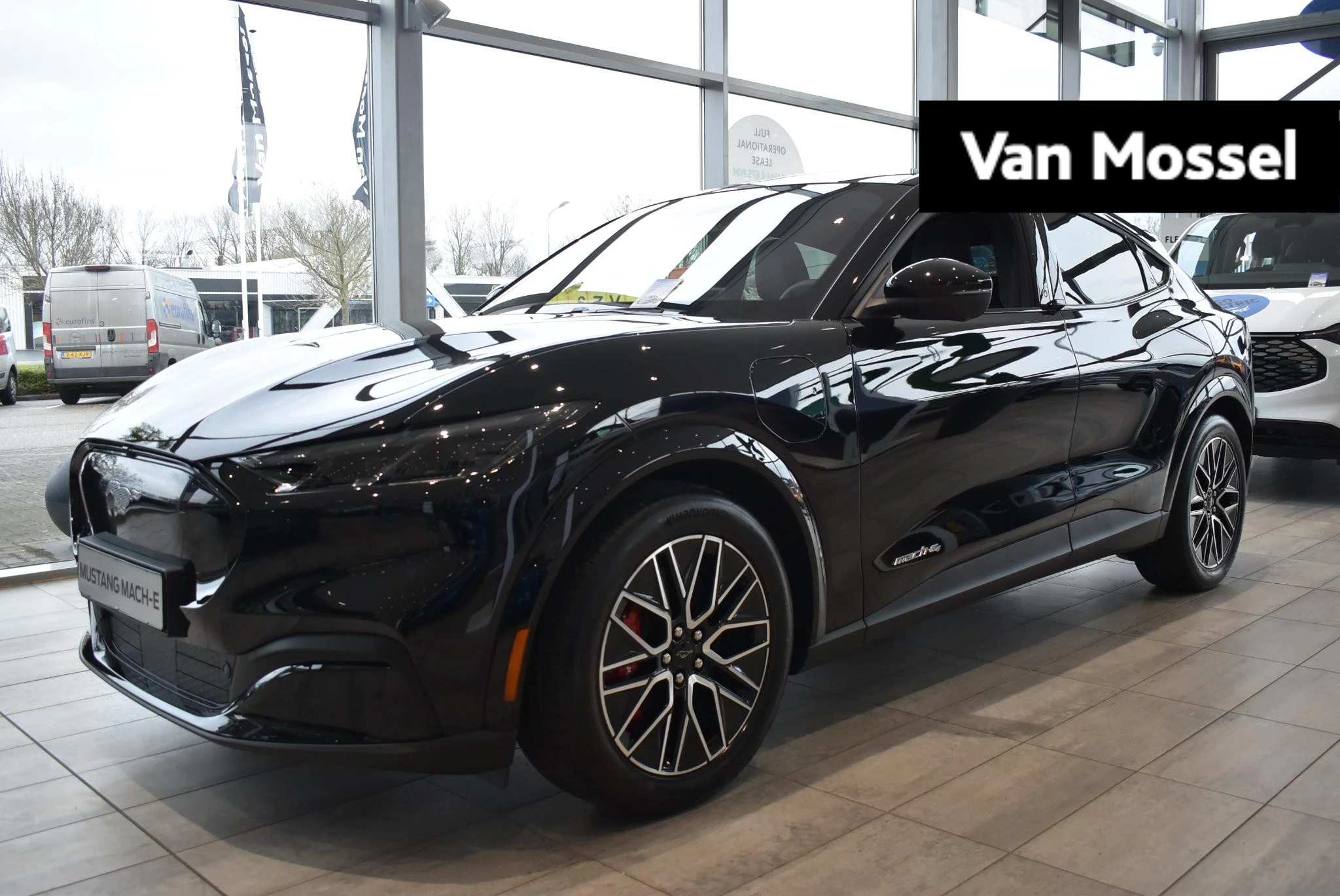 Ford-Mustang Mach-E-image-0