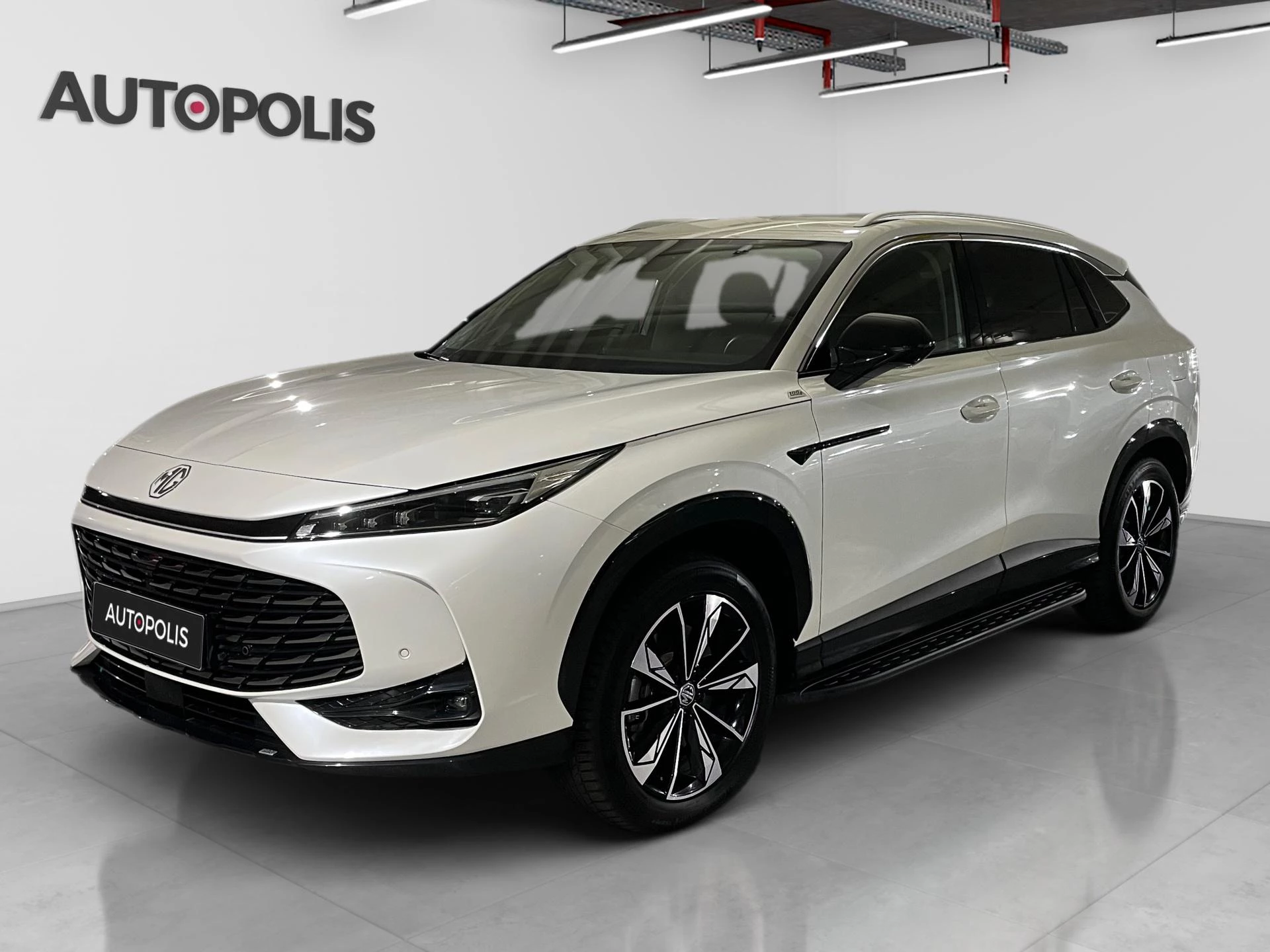 MG-HS-image-0