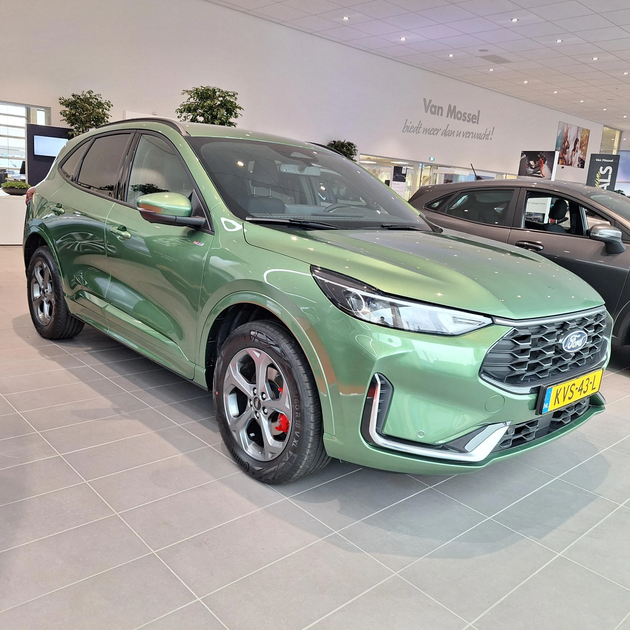 Ford-Kuga-image-2