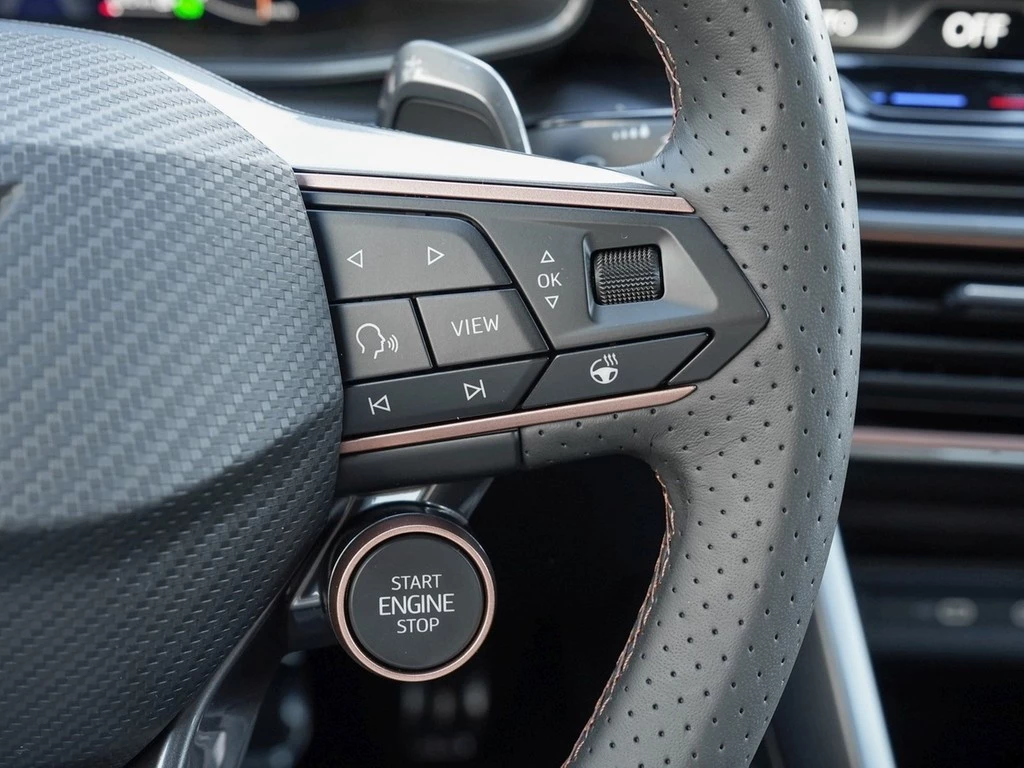 CUPRA Formentor VZ 4Drive Black Edition /HD-MatrixLED