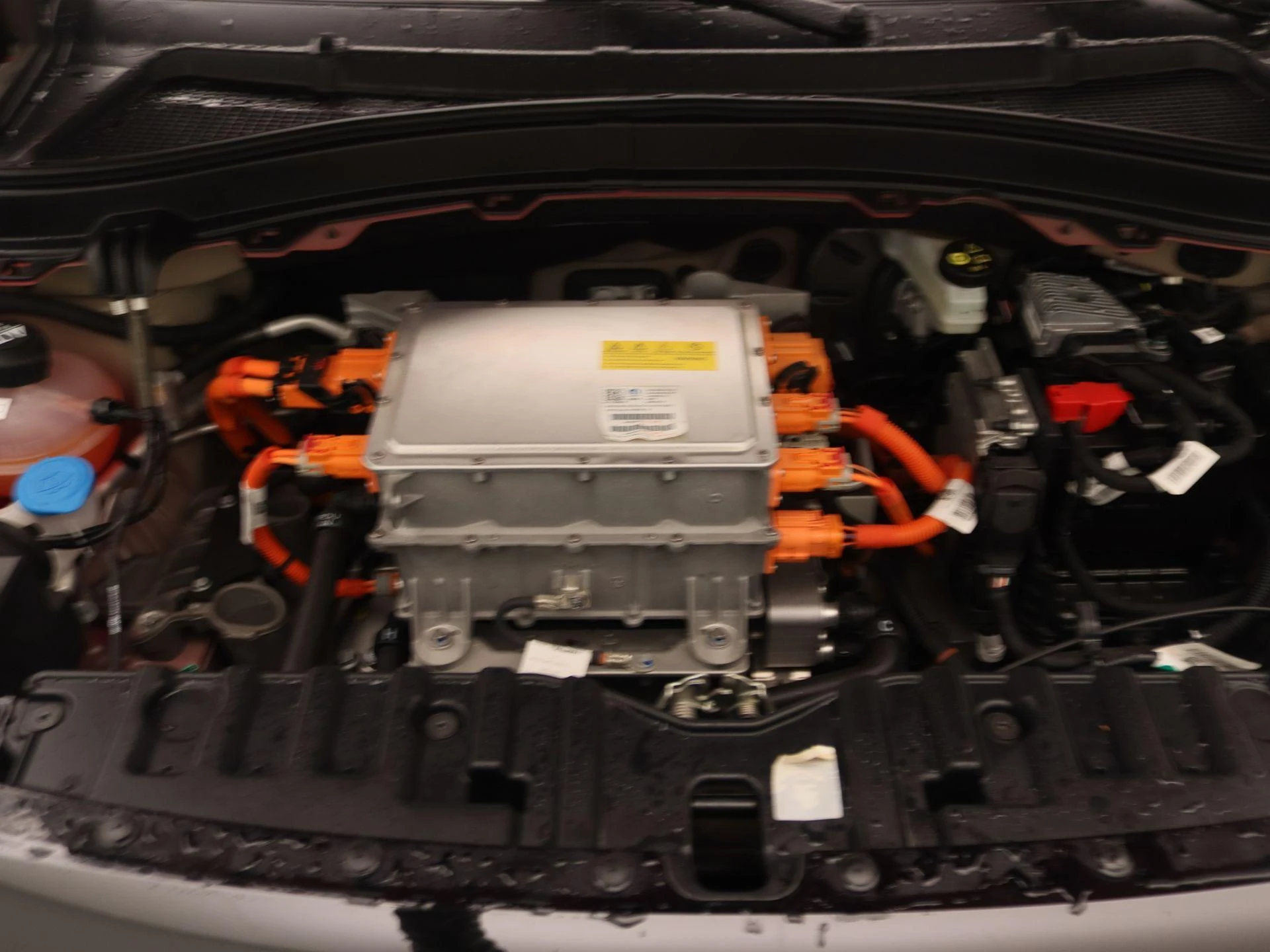 Fiat-Grande Panda-image-23