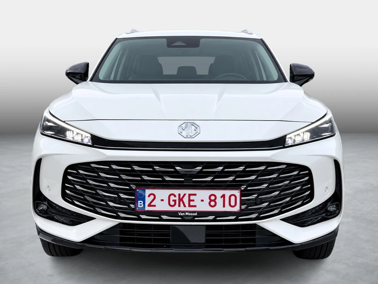 MG-HS-image-1