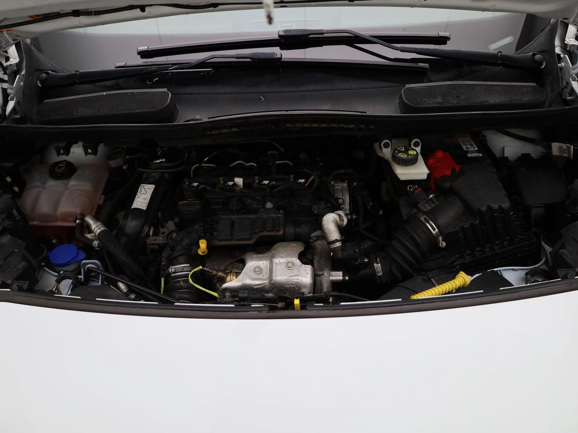 Ford Transit Custom trend