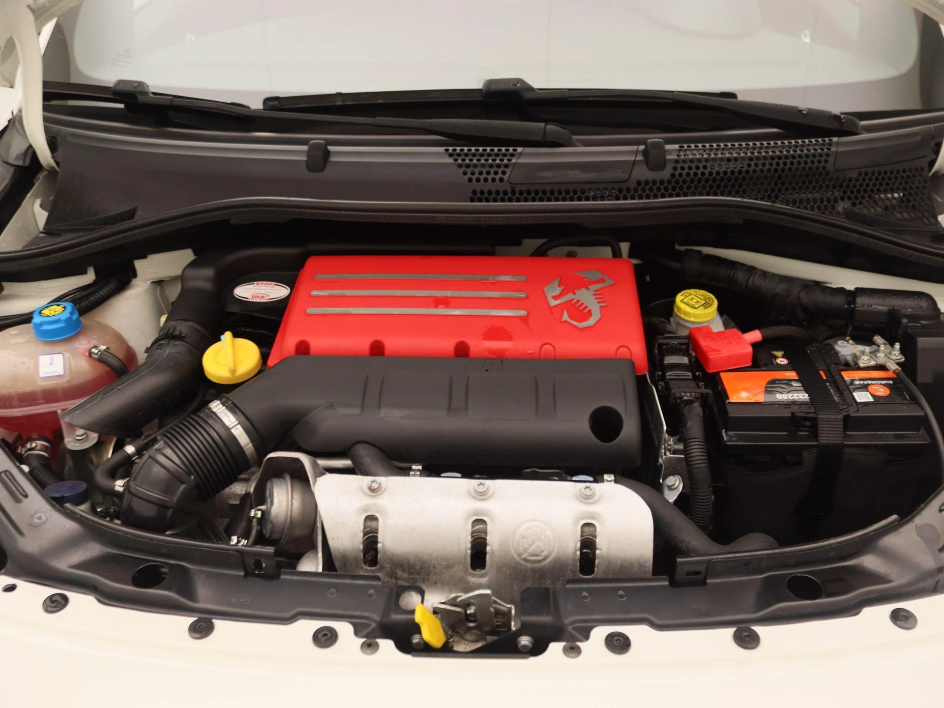 Fiat-500-image-24