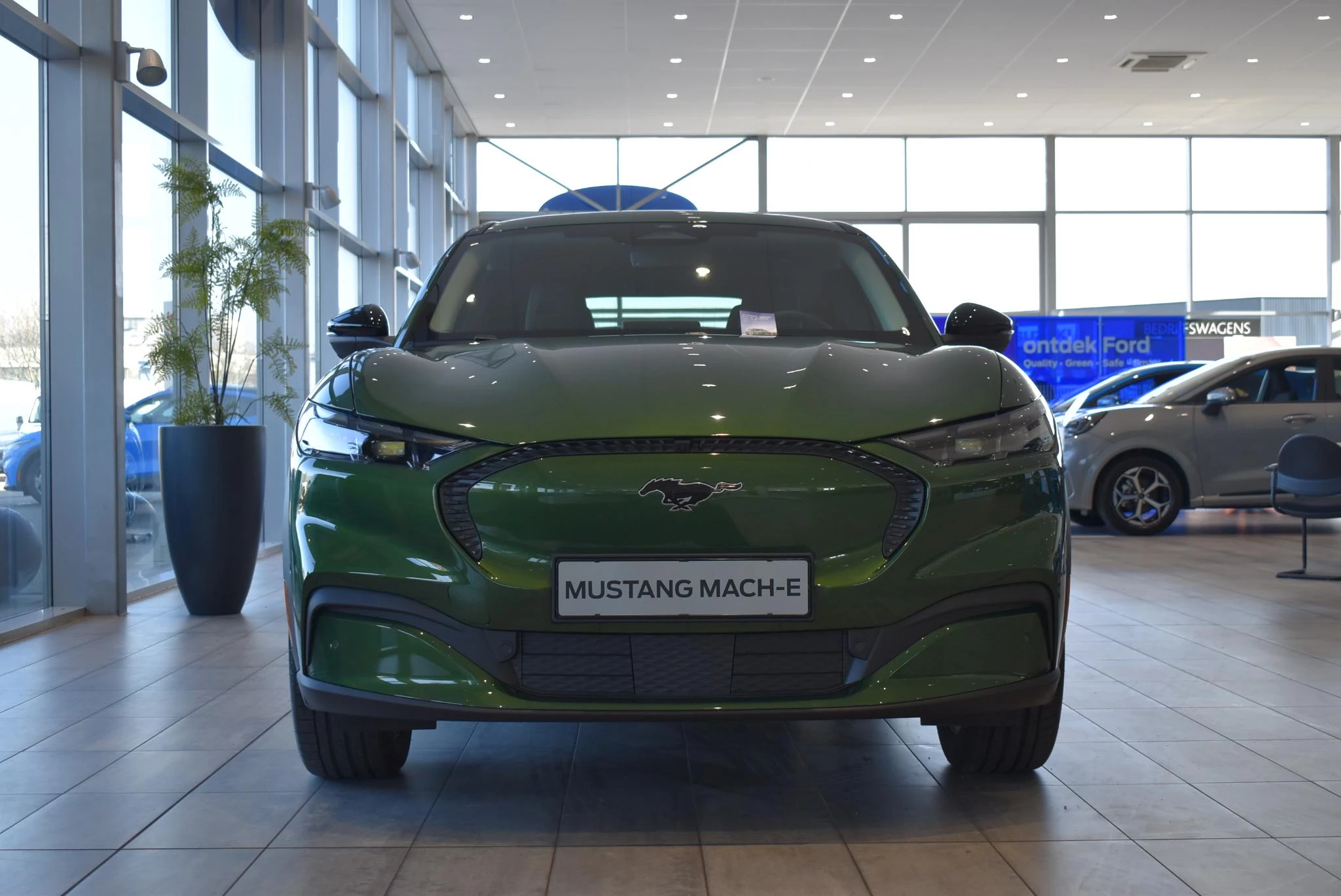 Ford-Mustang Mach-E-image-1