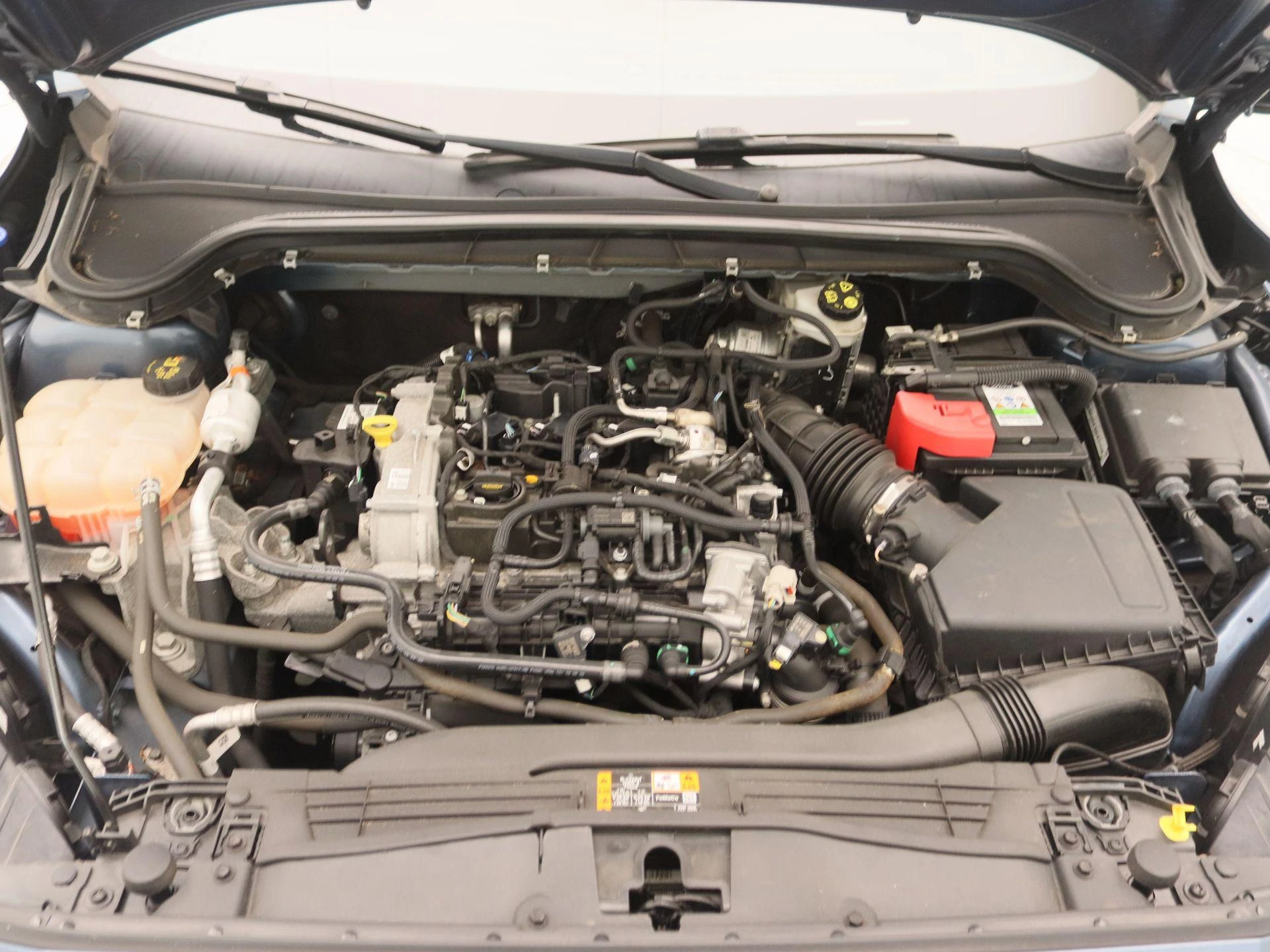 Ford-Focus-image-25