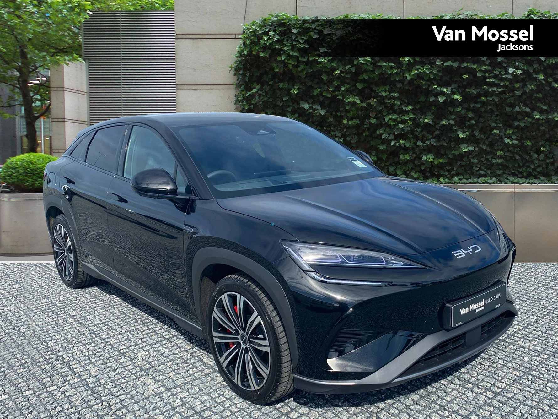 BYD SEALION Used Car