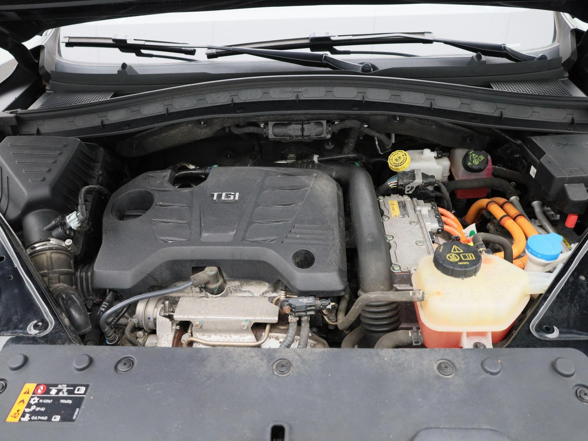 MG-EHS-image-33