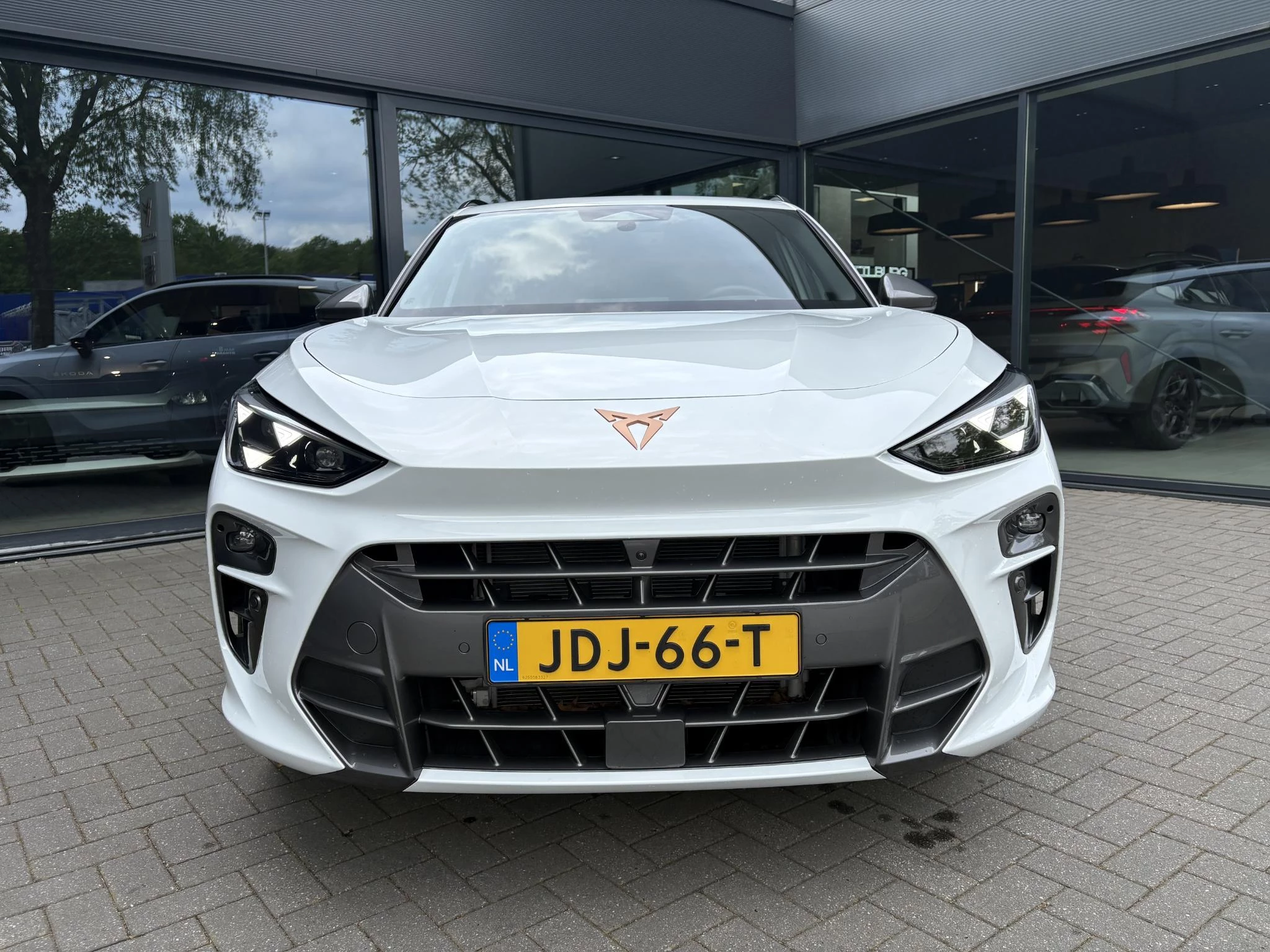 Cupra Terramar