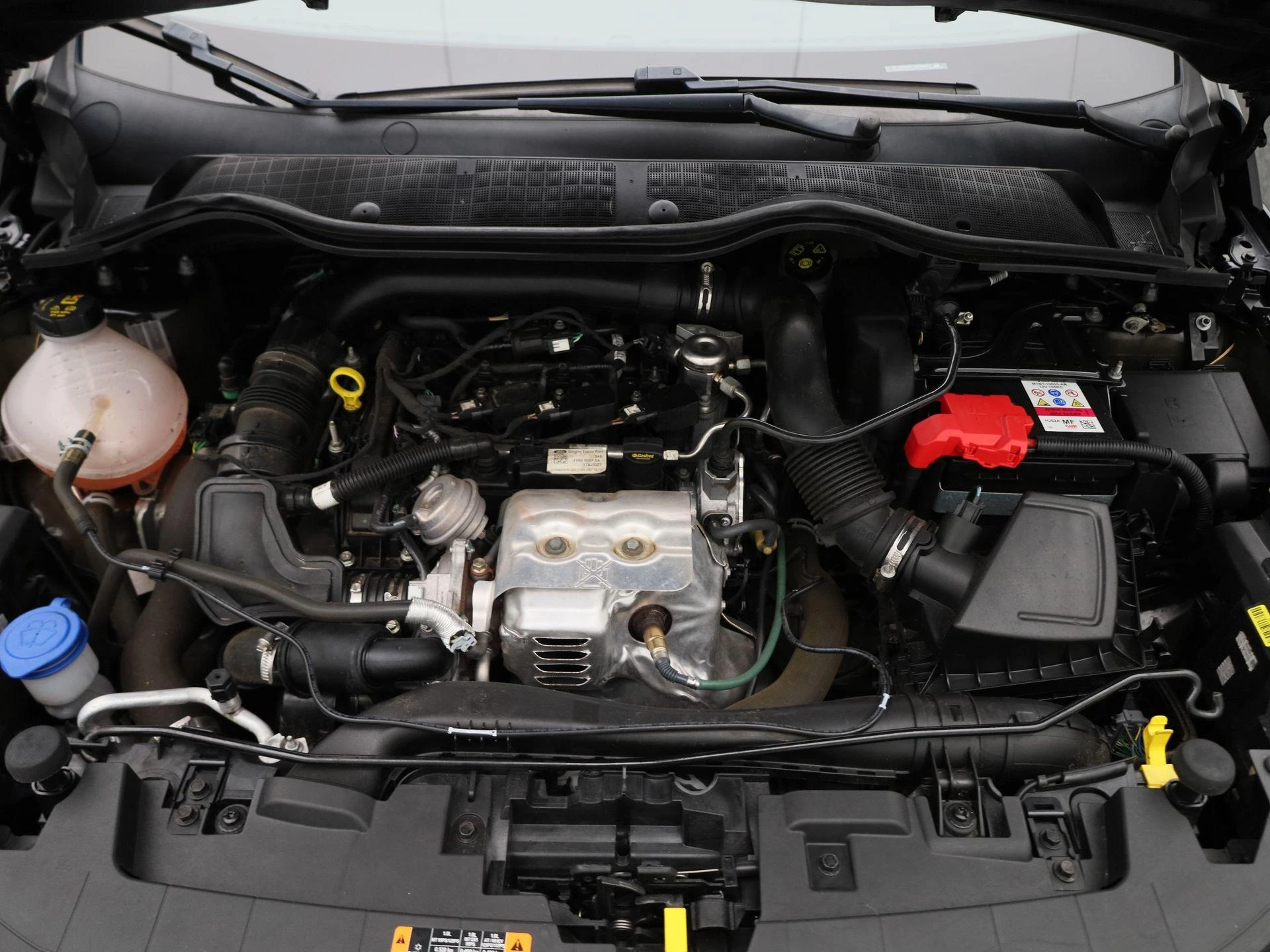Ford-Fiesta-image-28