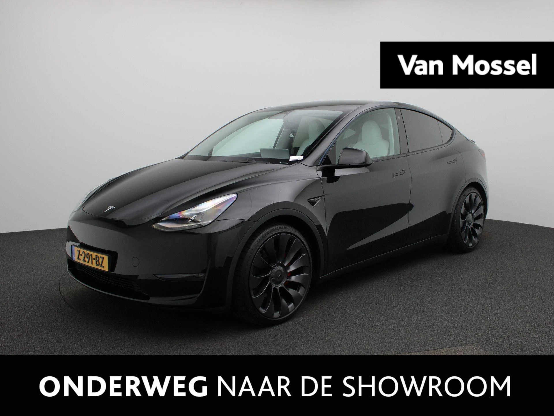 Tesla-Model Y-image-0