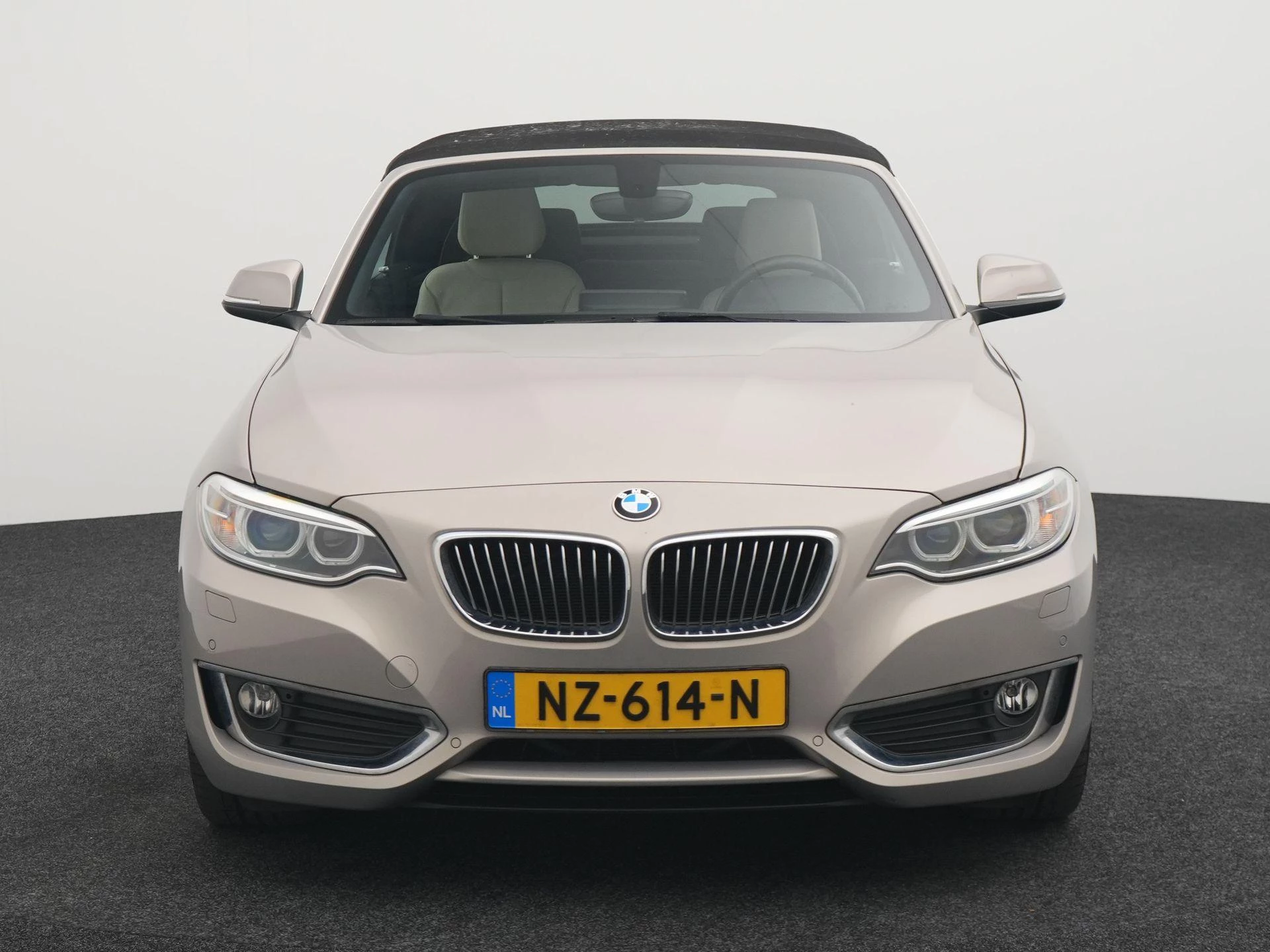 BMW 2 Serie Cabrio 220i High Executive