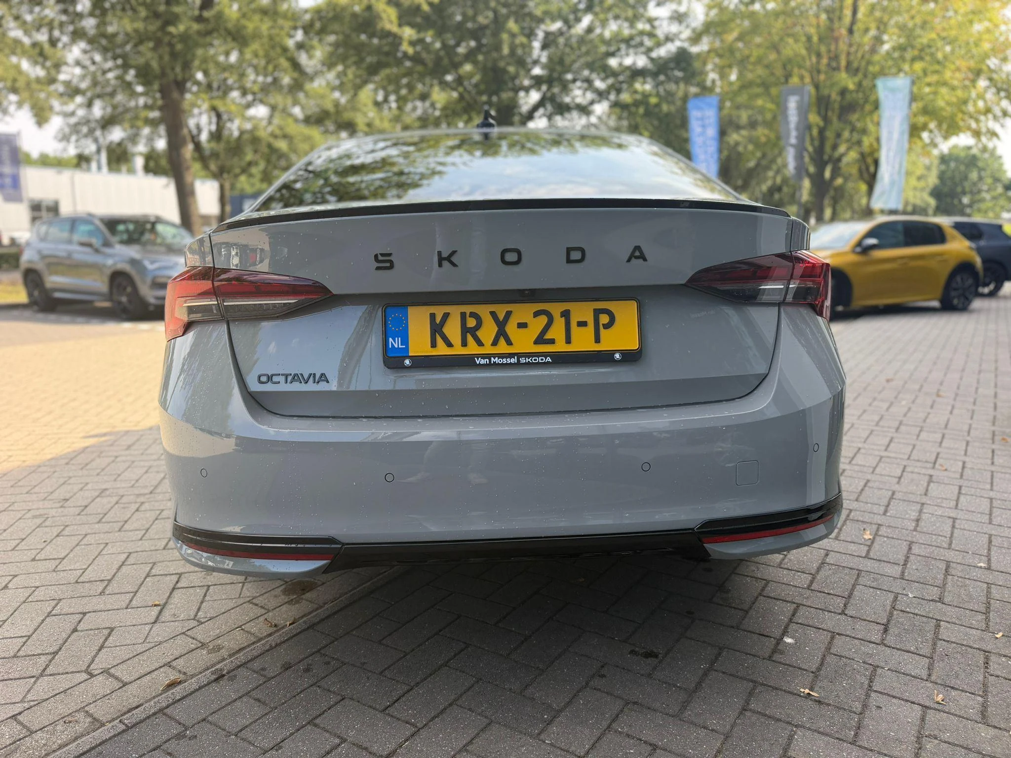 Škoda-Octavia-image-2