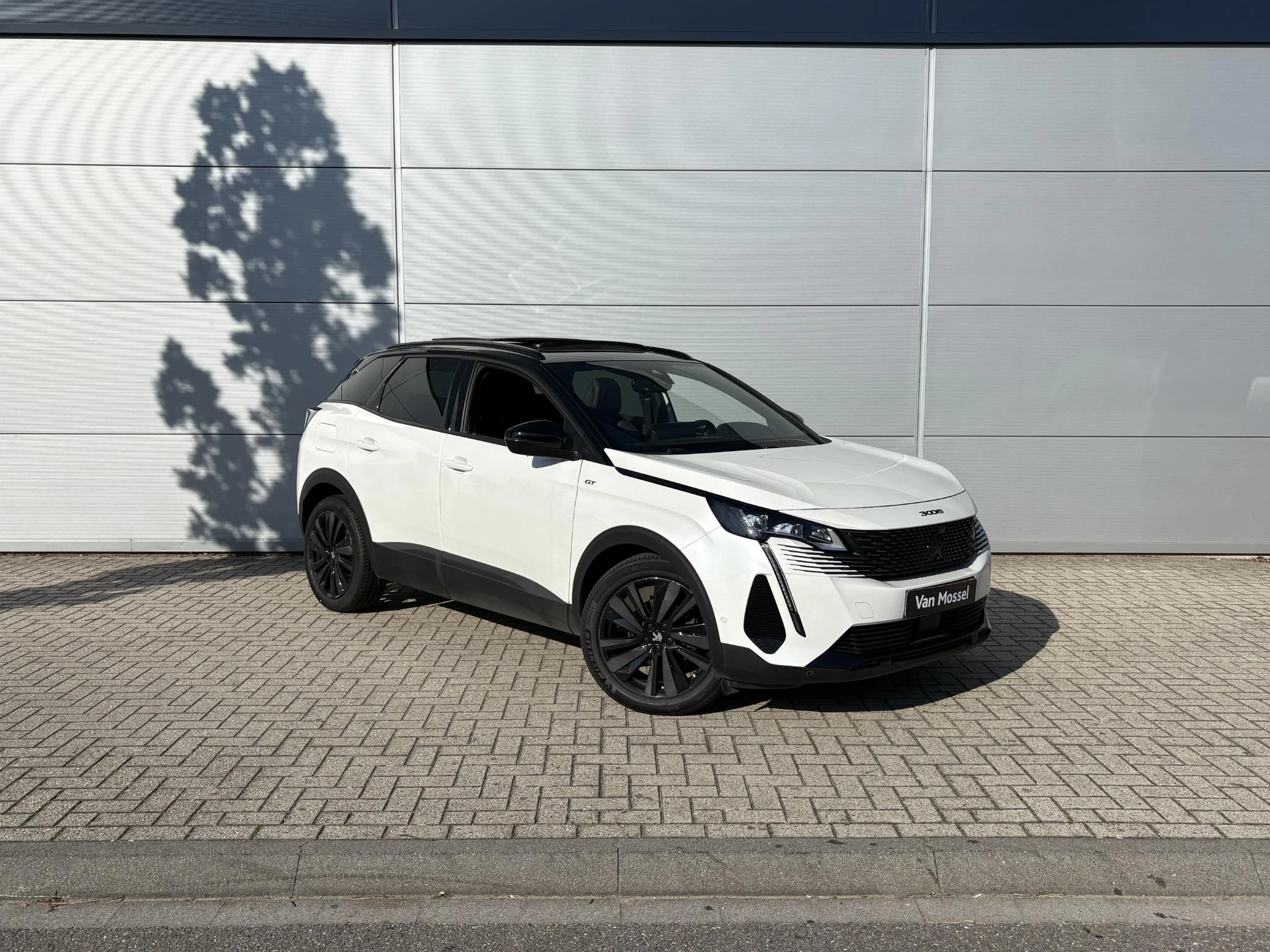 Peugeot-3008-image-7