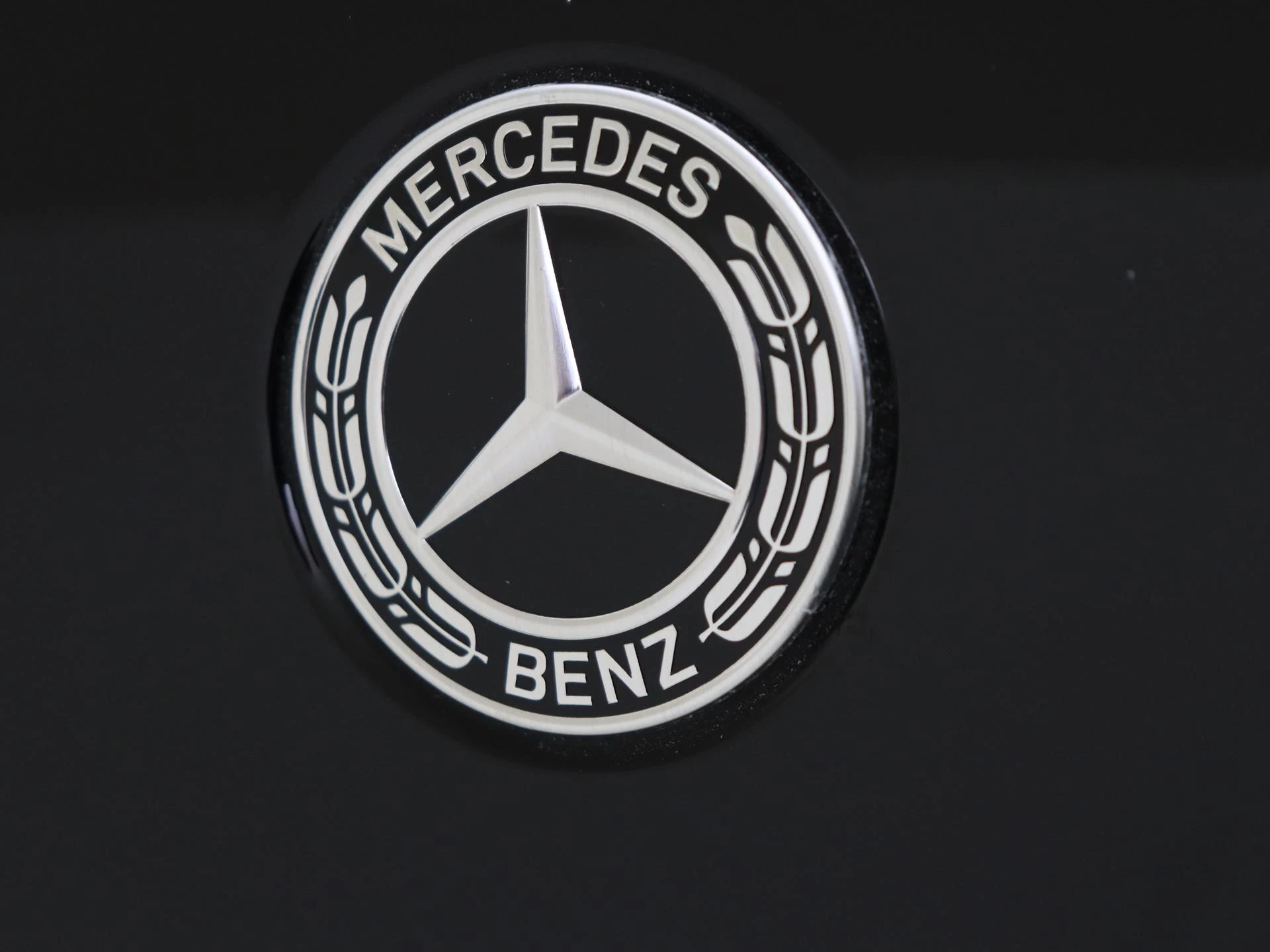 Mercedes-Benz-EQC-image-31