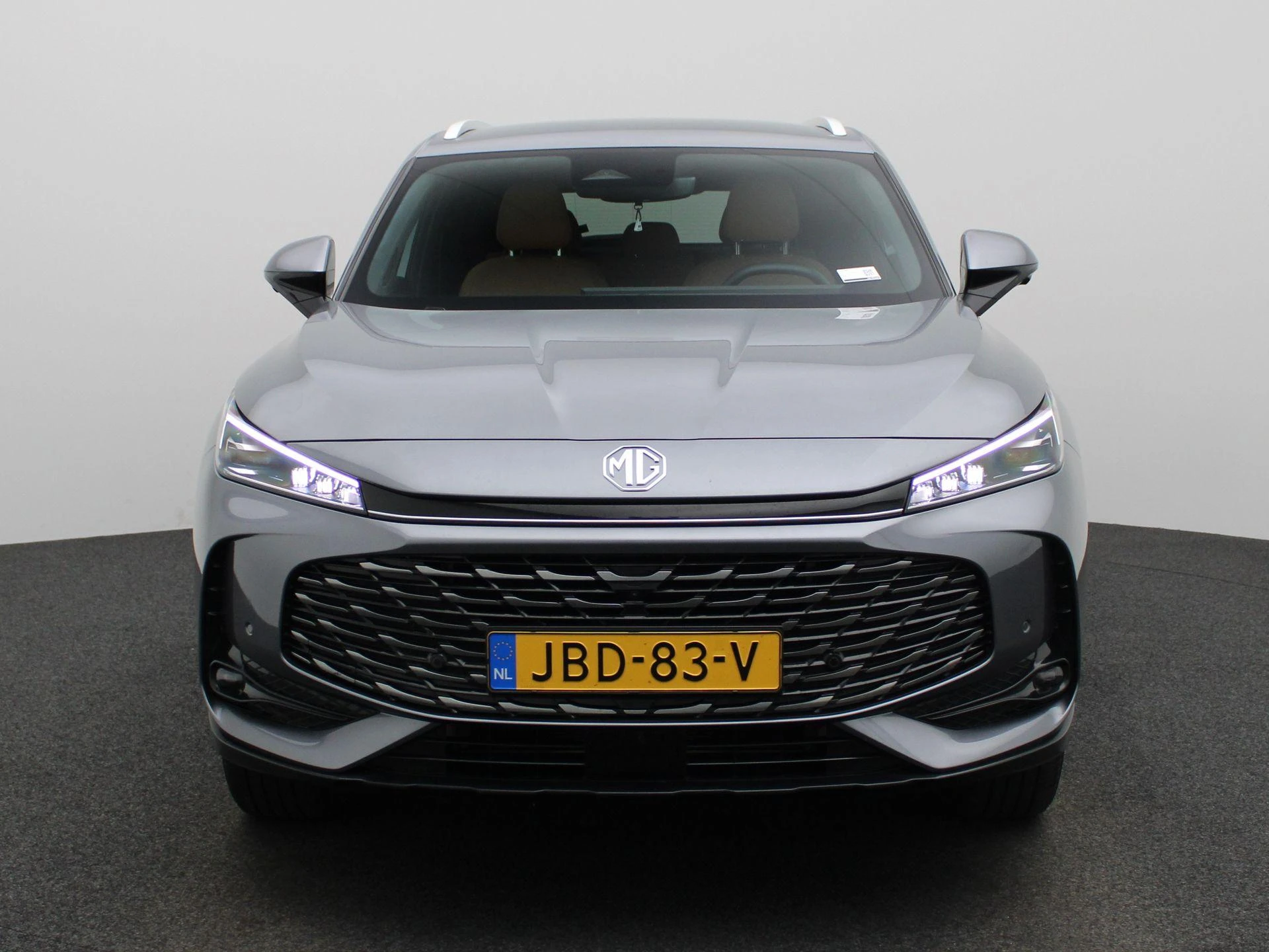 MG-HS-image-2