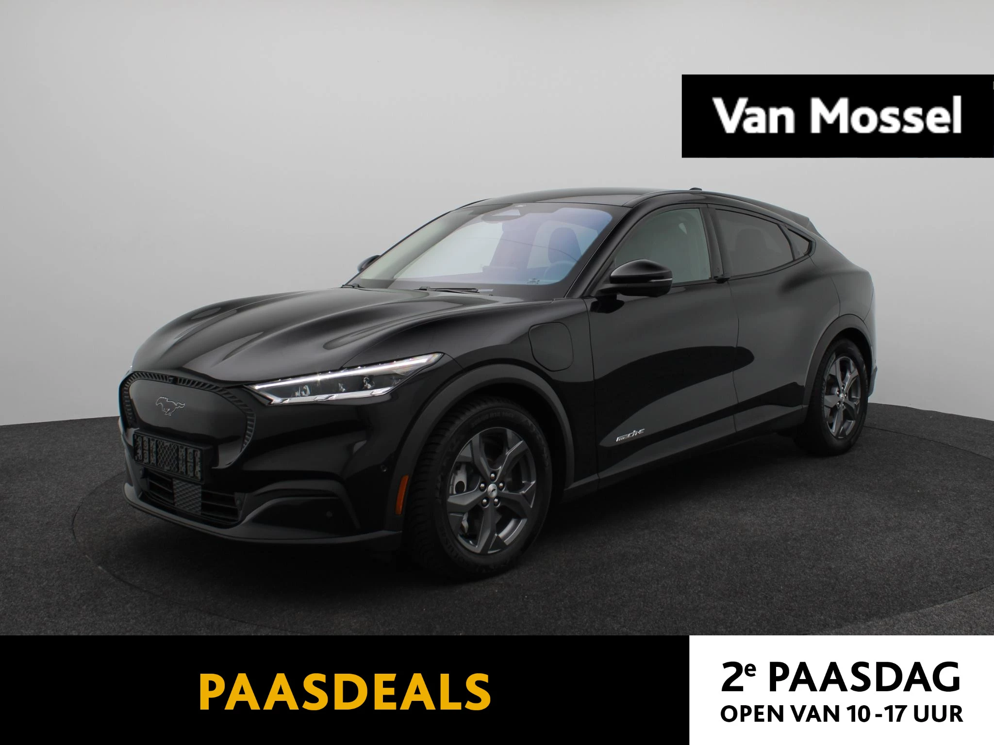 Ford-Mustang Mach-E-image-0