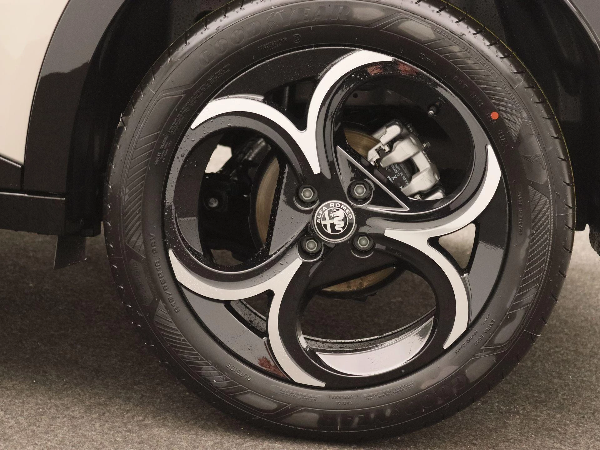 Alfa Romeo-Junior-image-18